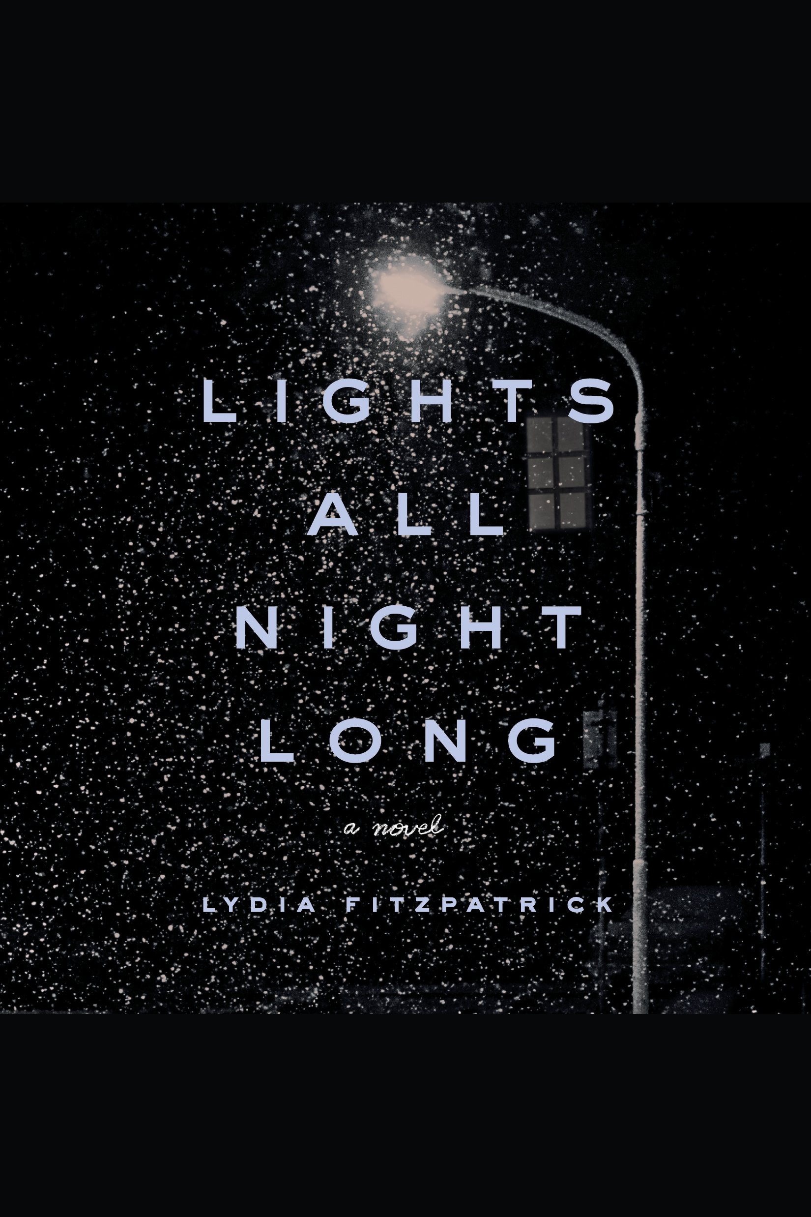 Cover image for Lights All Night Long [electronic resource] : A Novel