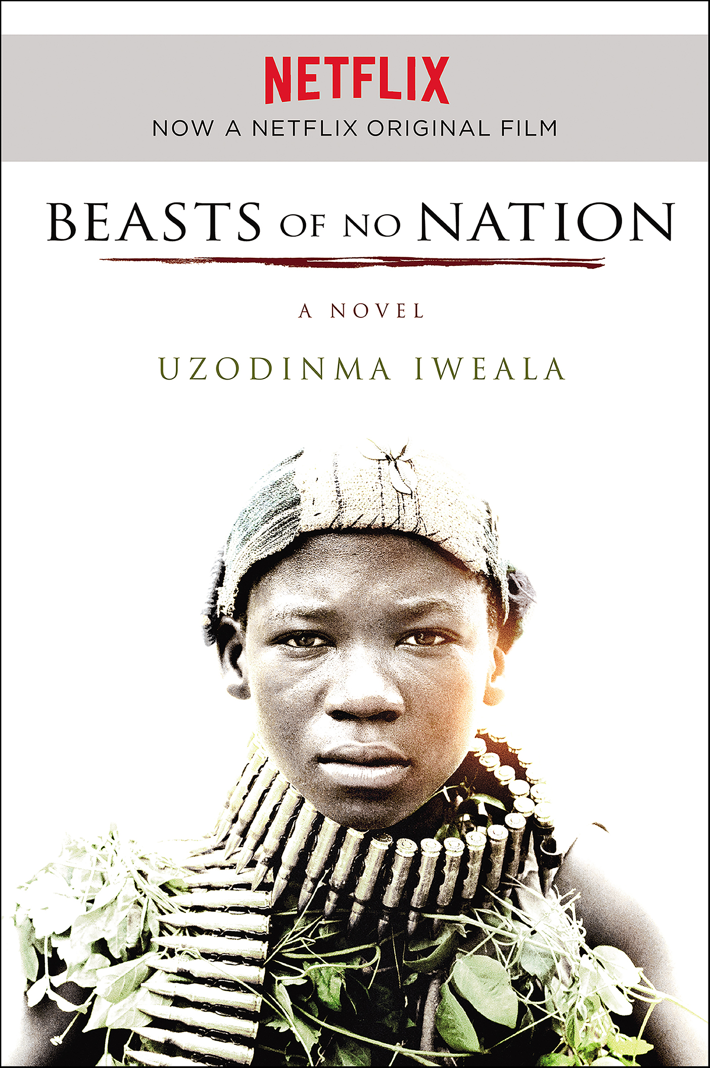 Cover image for Beasts of No Nation [electronic resource] : A Novel