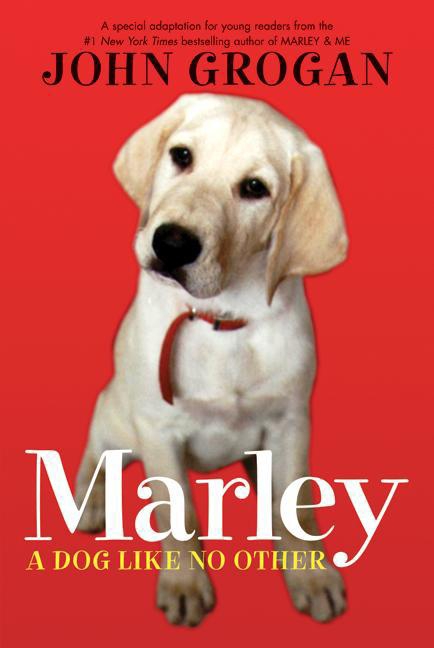 Marley cover image