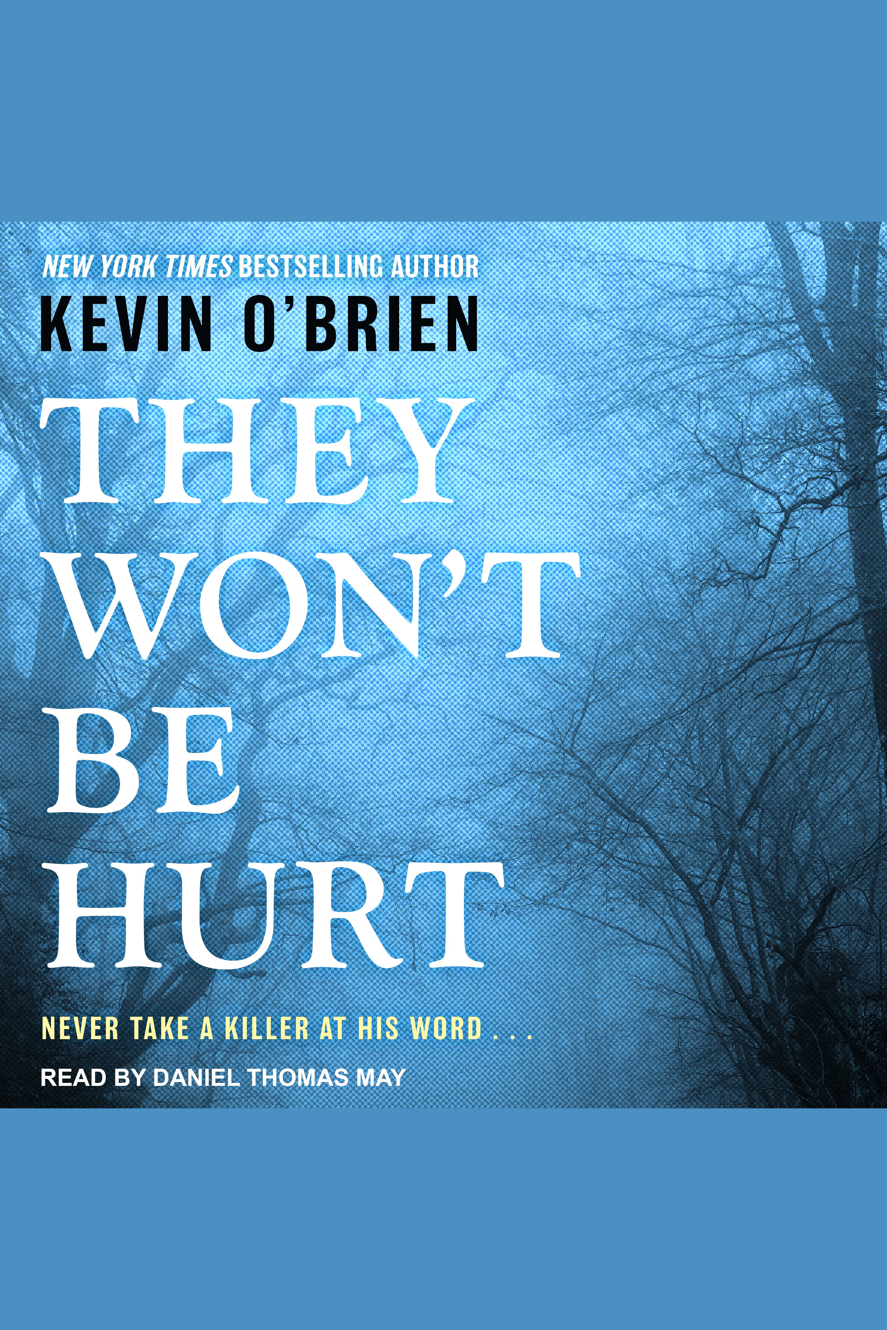 Cover image for They Won't Be Hurt [electronic resource] :