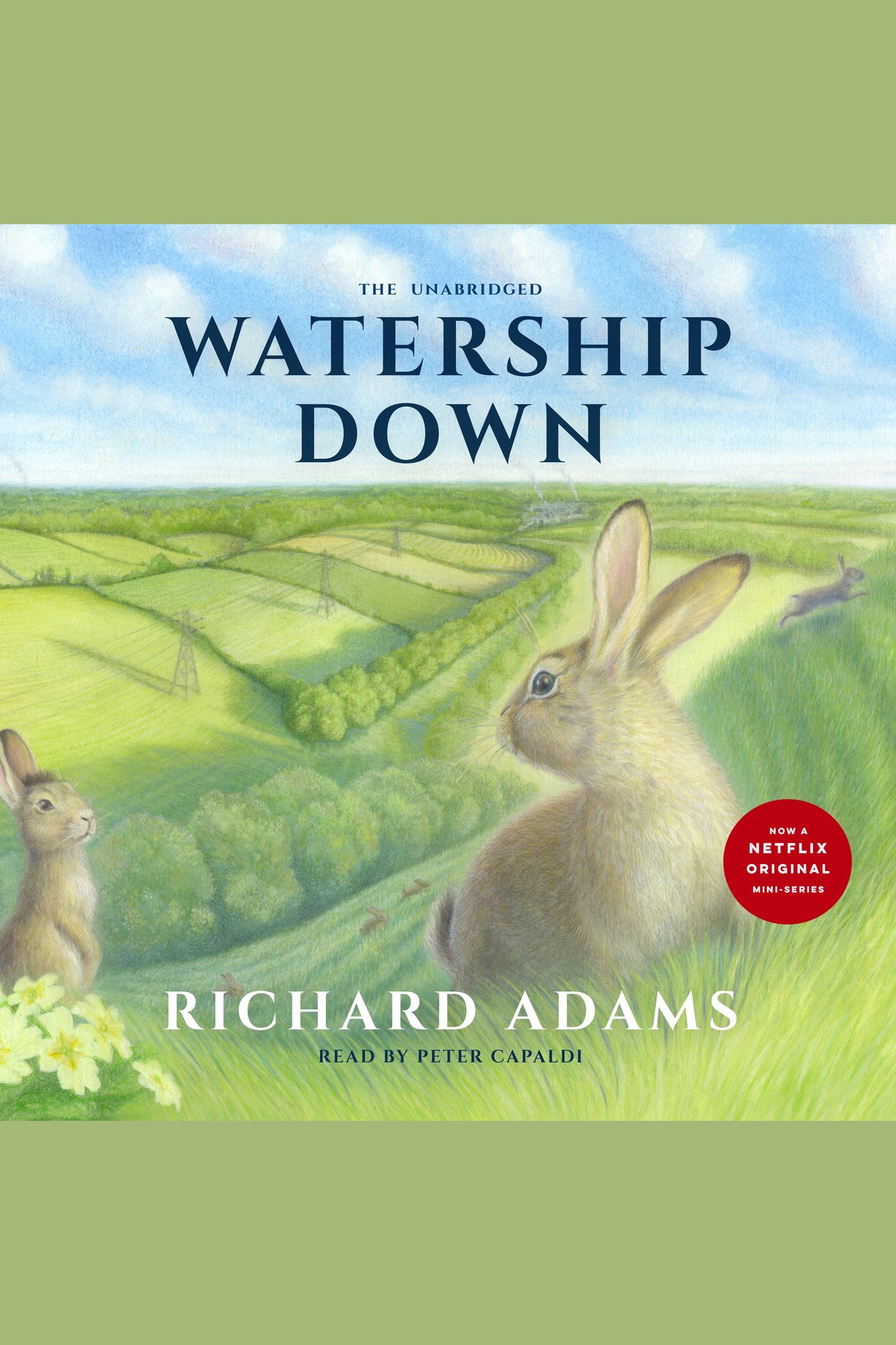 Watership Down cover image
