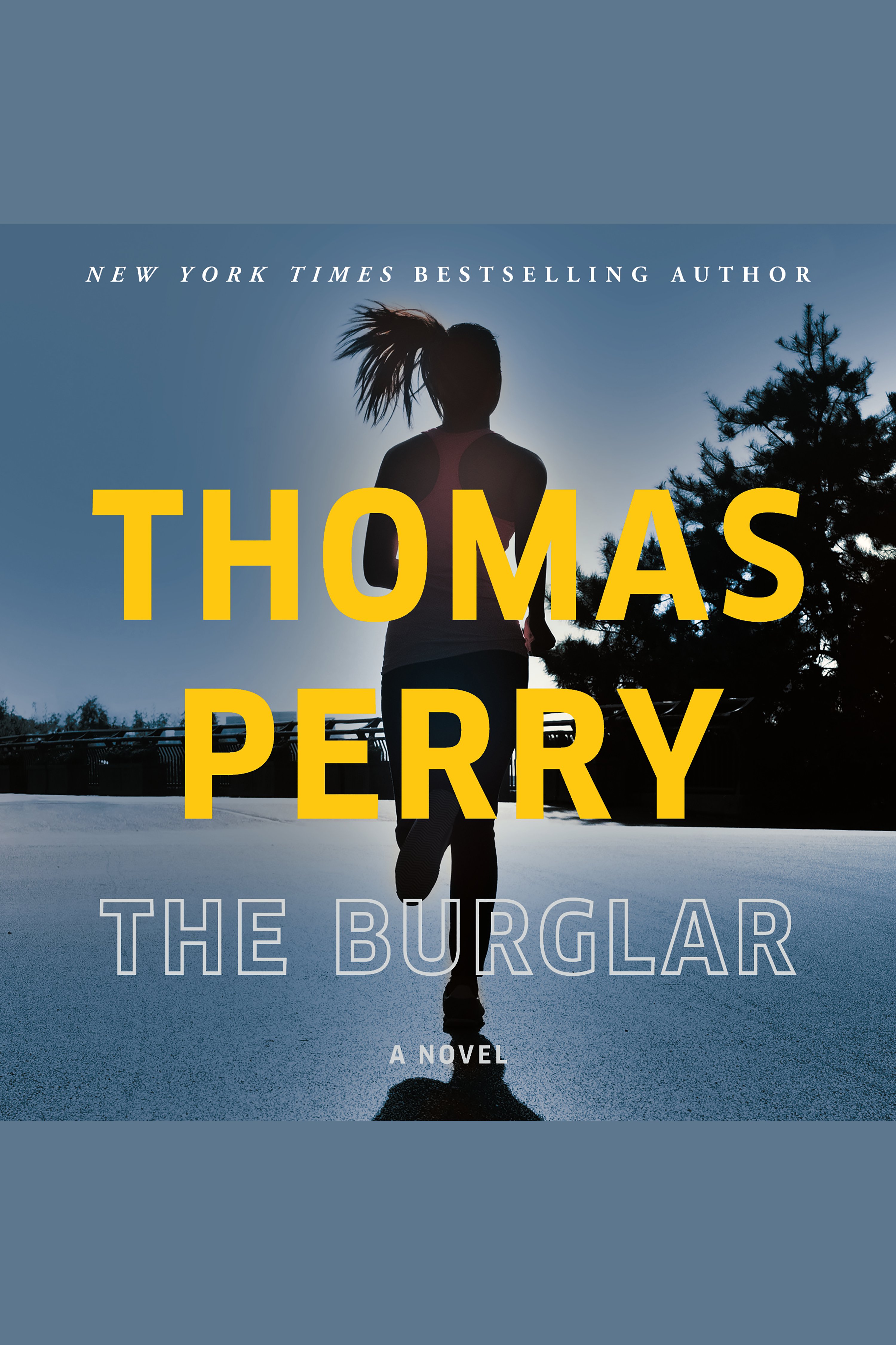 The burglar cover image