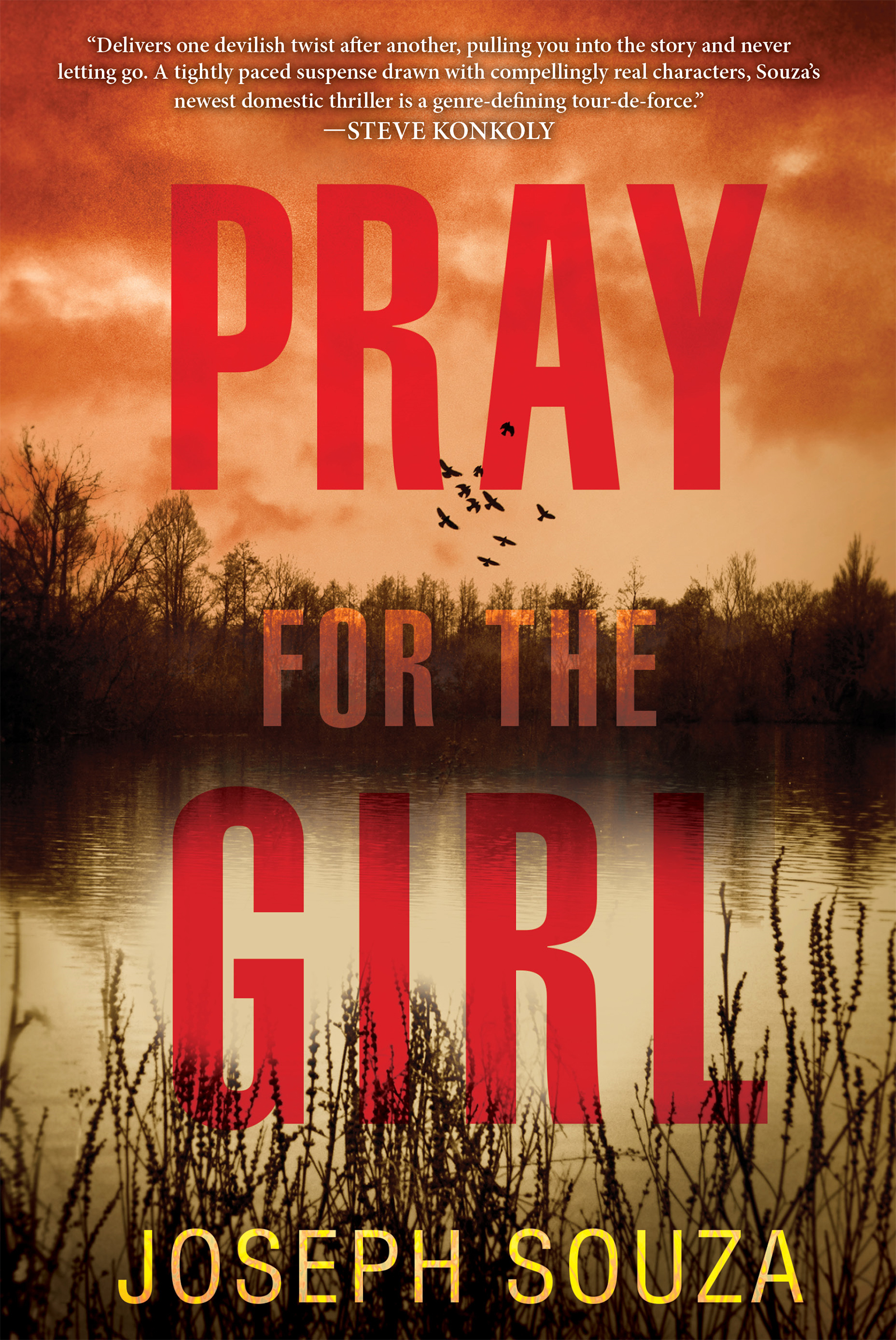 Umschlagbild für Pray for the Girl [electronic resource] :