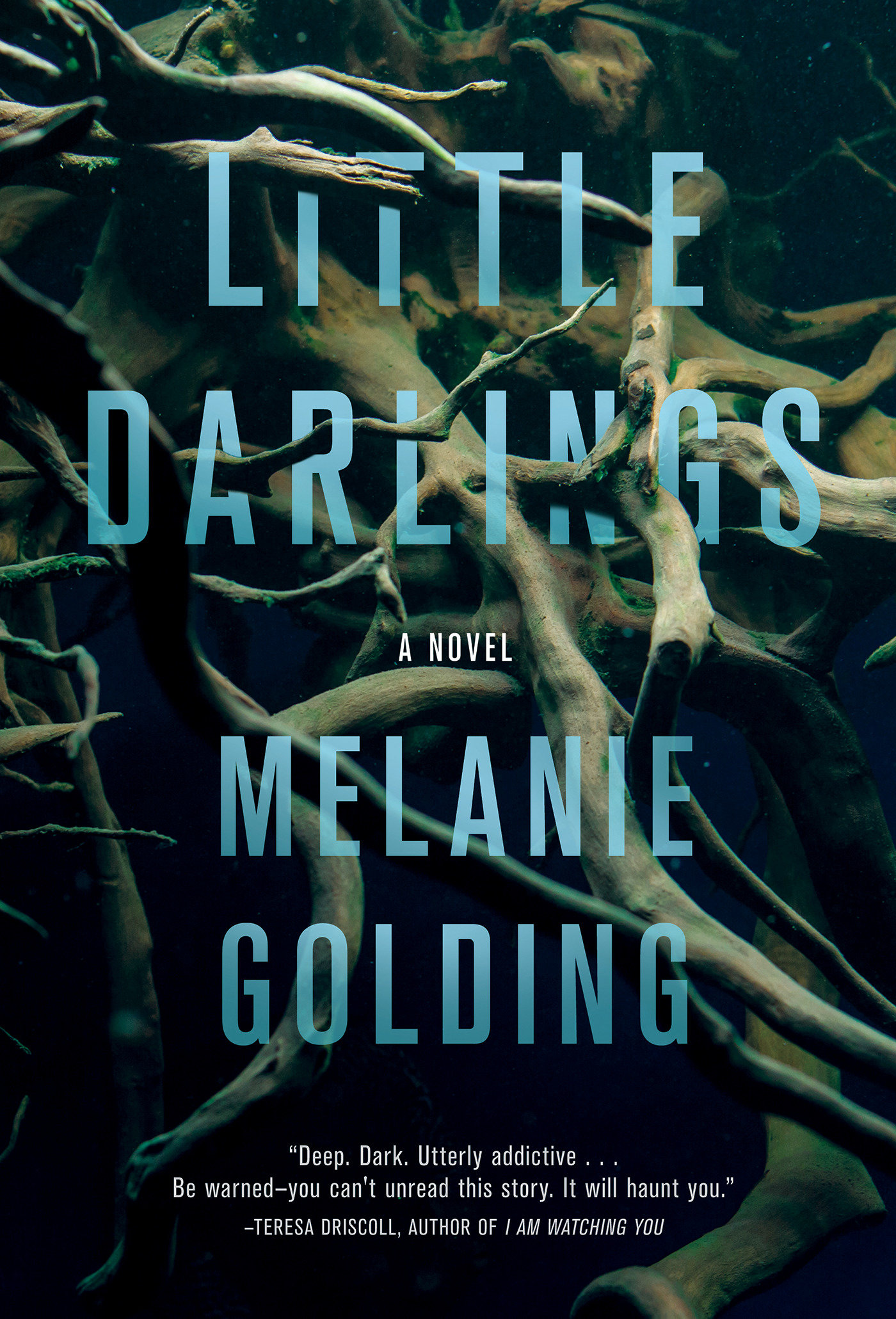 Imagen de portada para Little Darlings [electronic resource] : A Novel