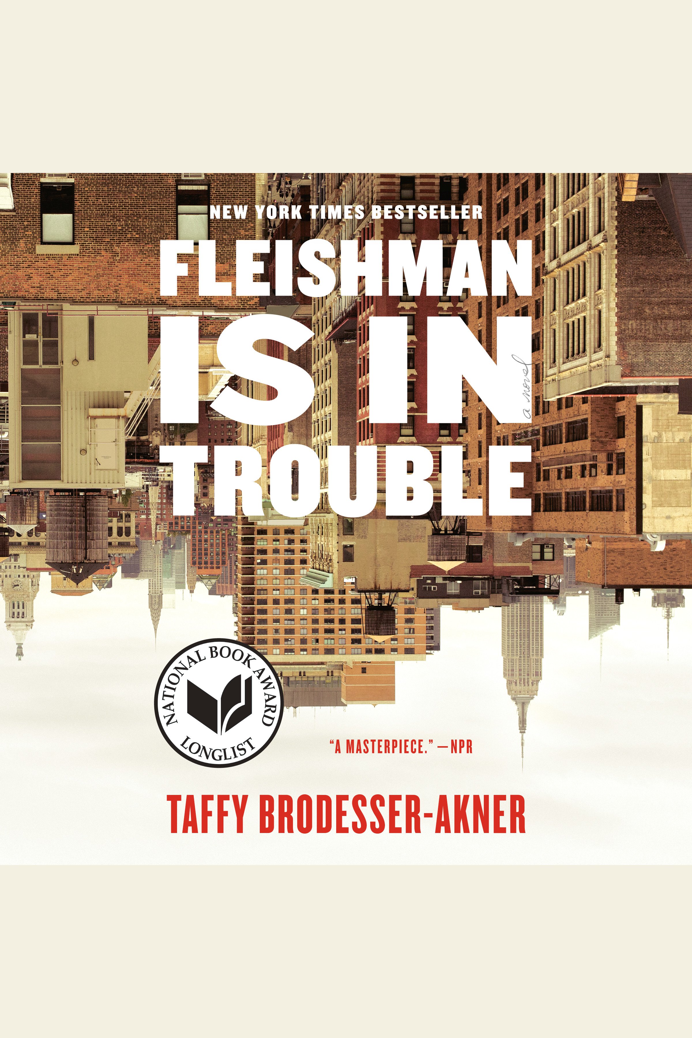 Fleishman is in trouble cover image