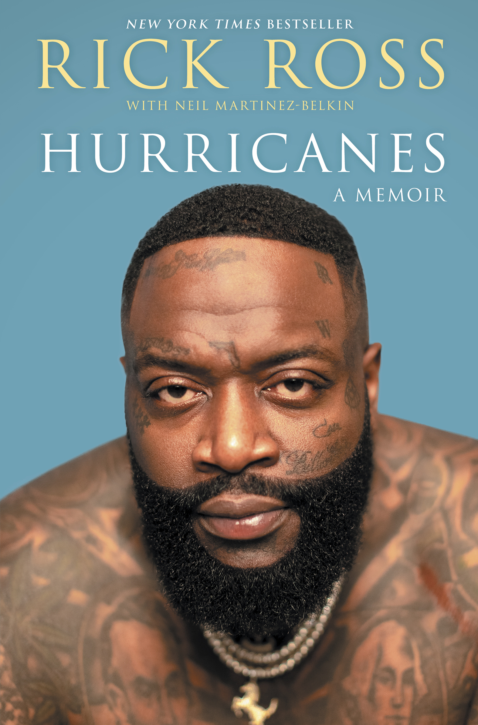 Cover image for Hurricanes [electronic resource] : A Memoir