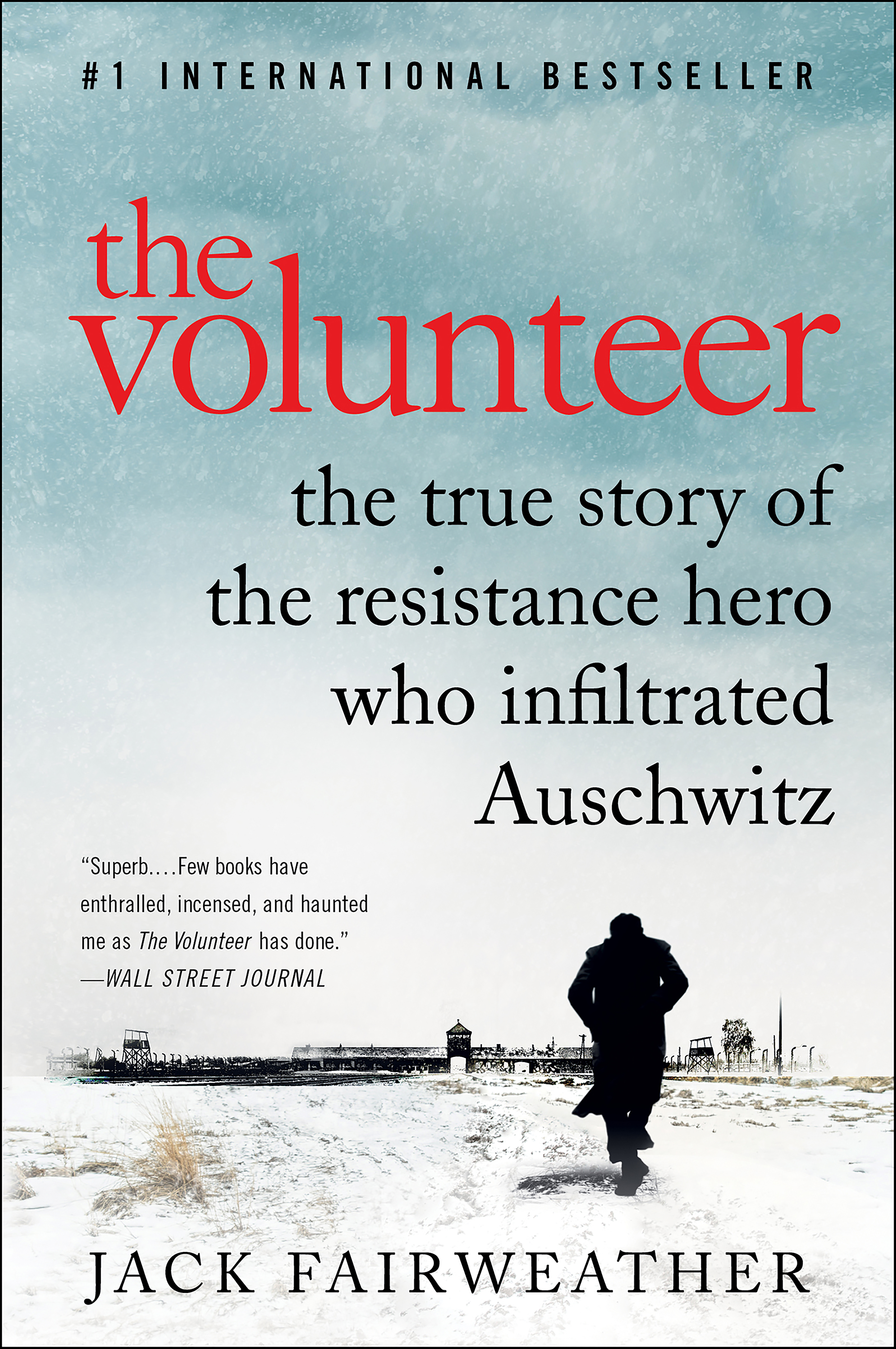 The volunteer one man, an underground army, and the secret mission to destroy Auschwitz cover image