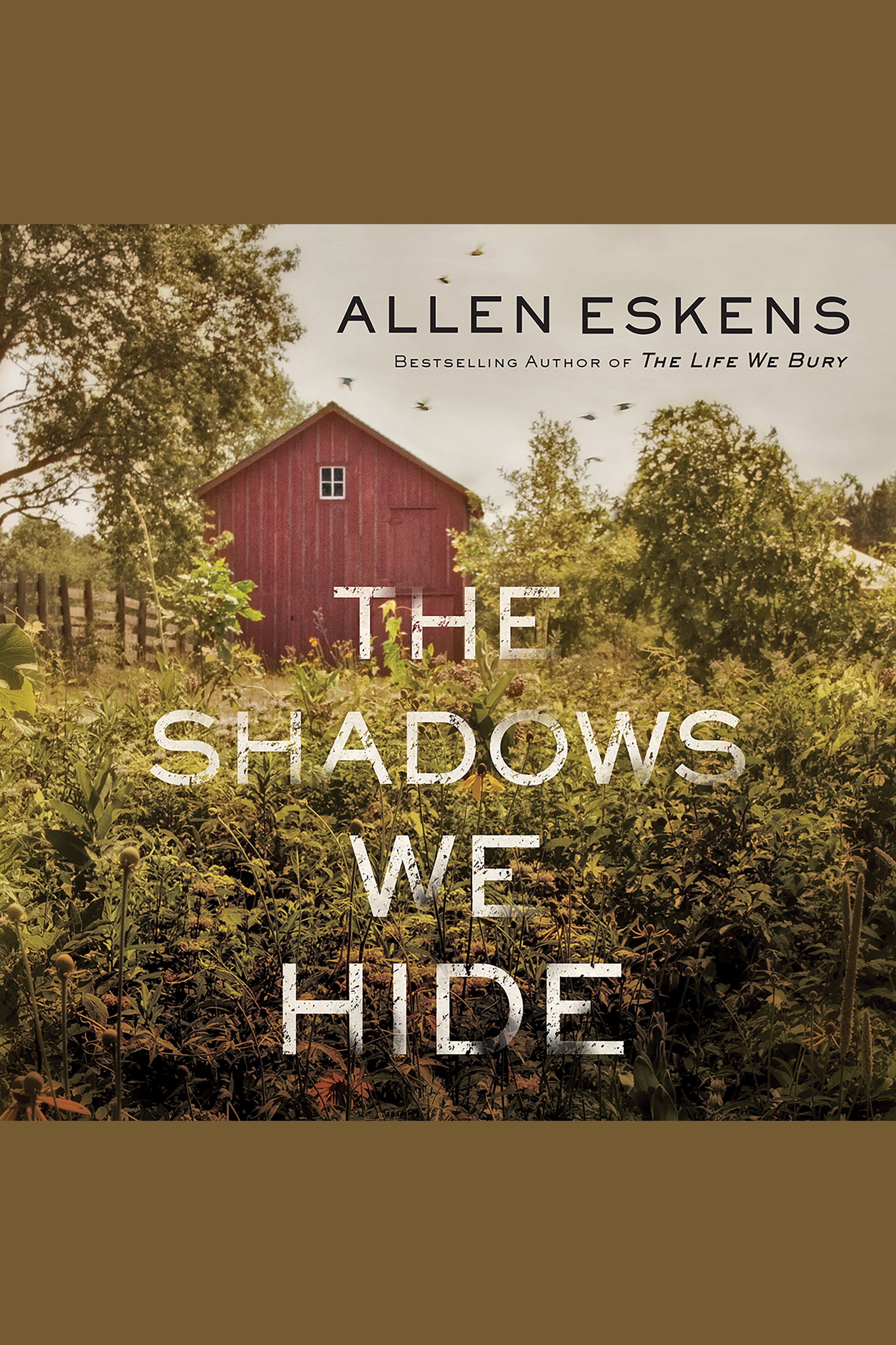 Cover image for Shadows We Hide, The [electronic resource] :