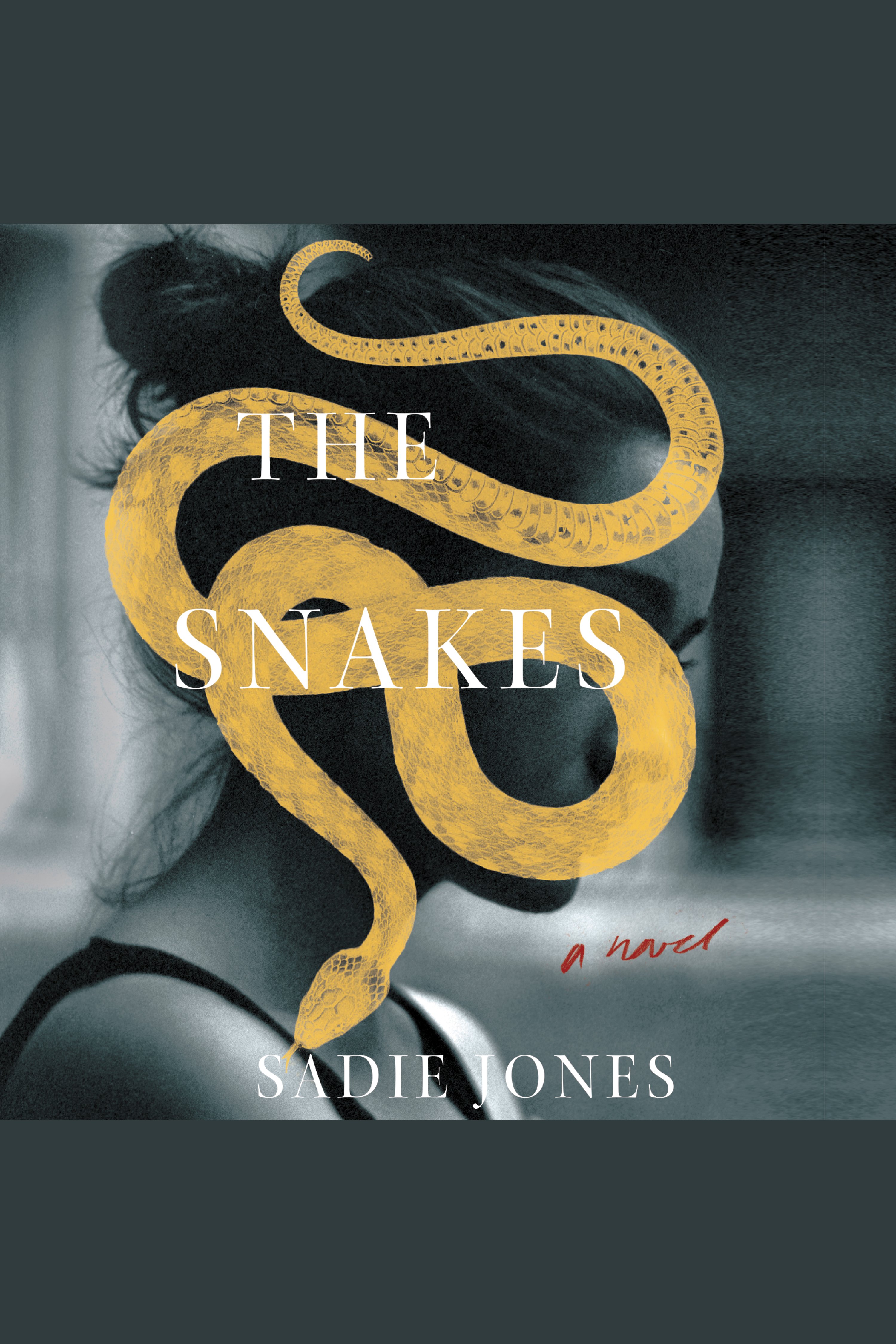 Cover image for The Snakes [electronic resource] :