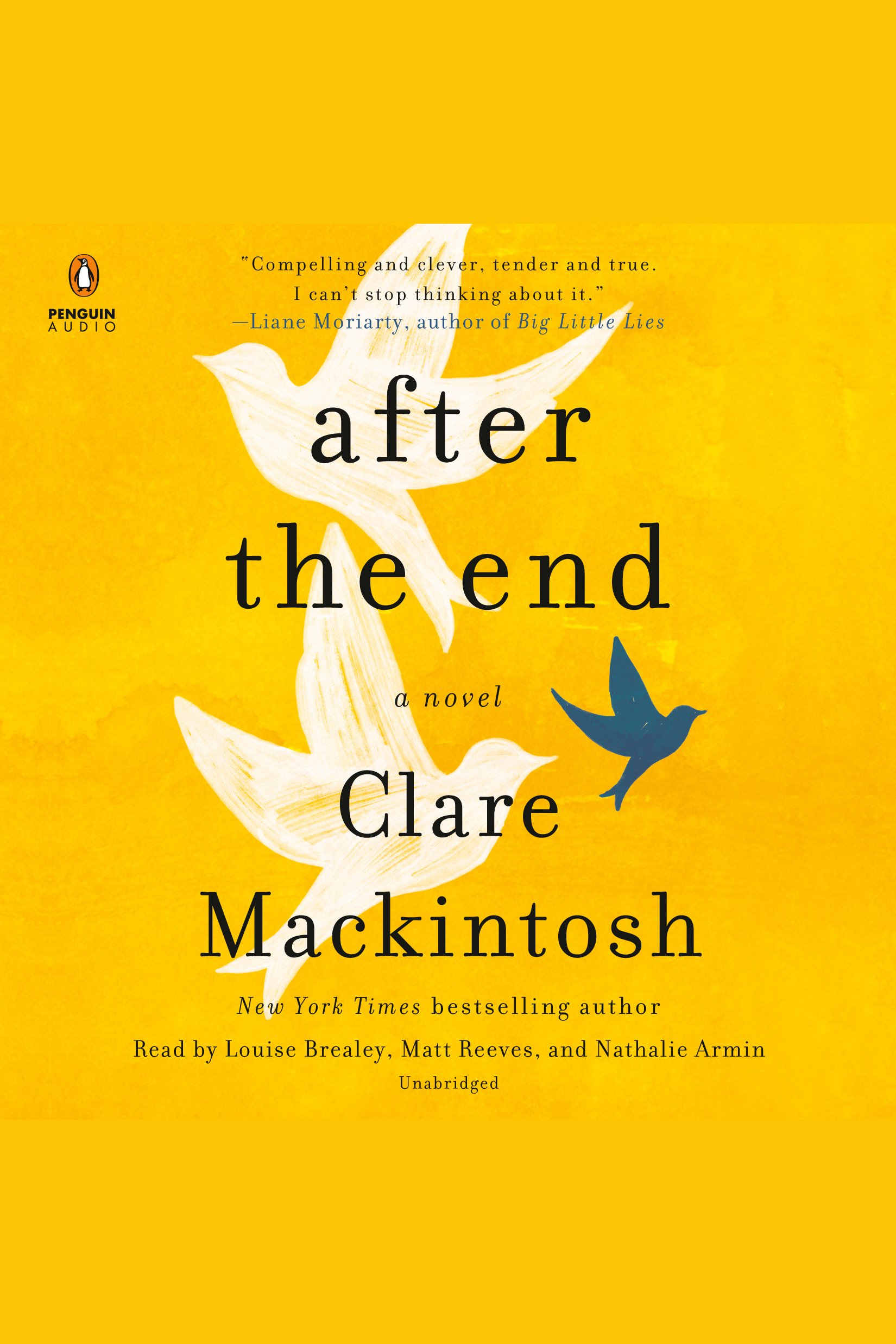 Cover image for After the End [electronic resource] :