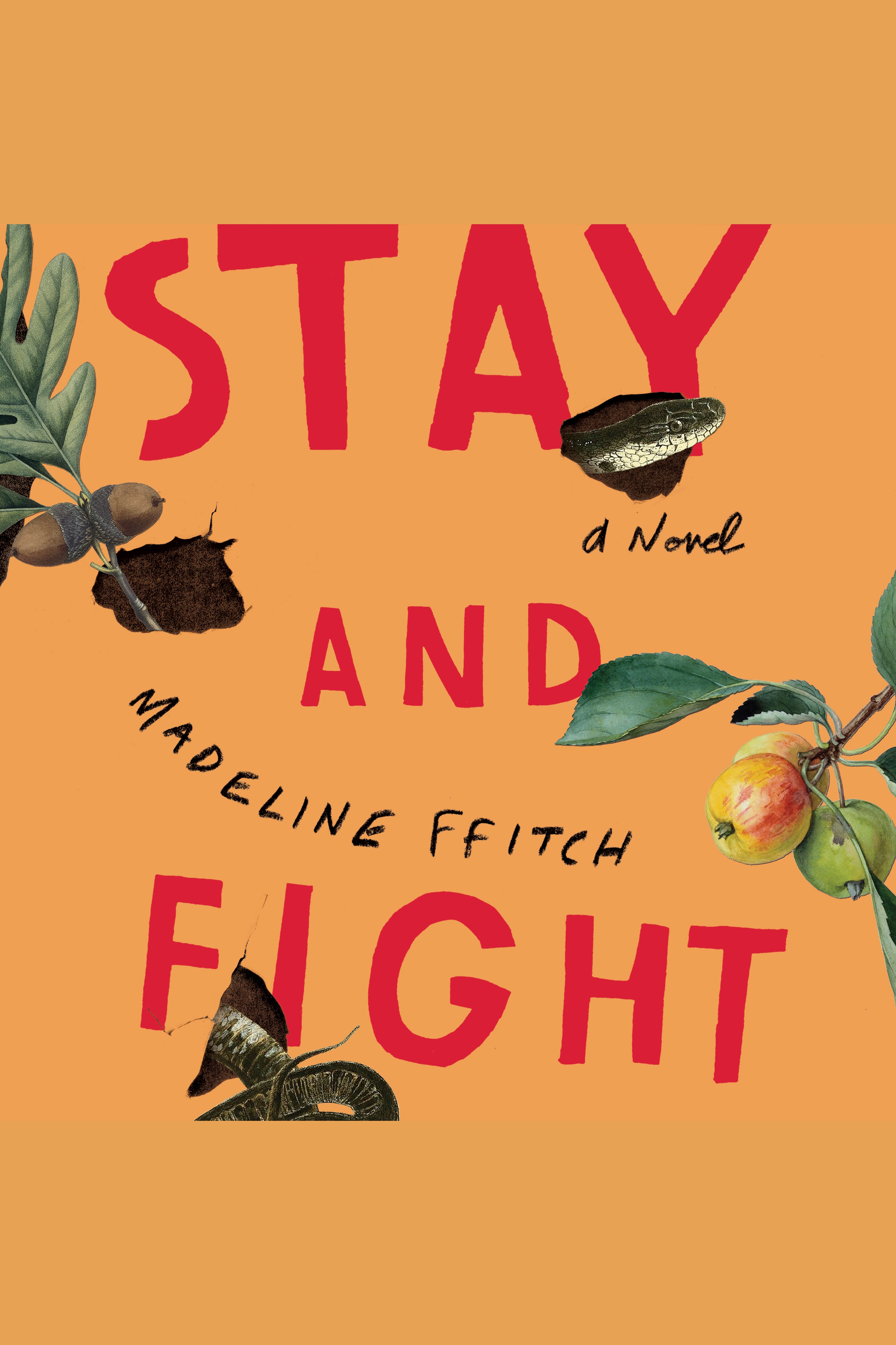 Stay and Fight cover image