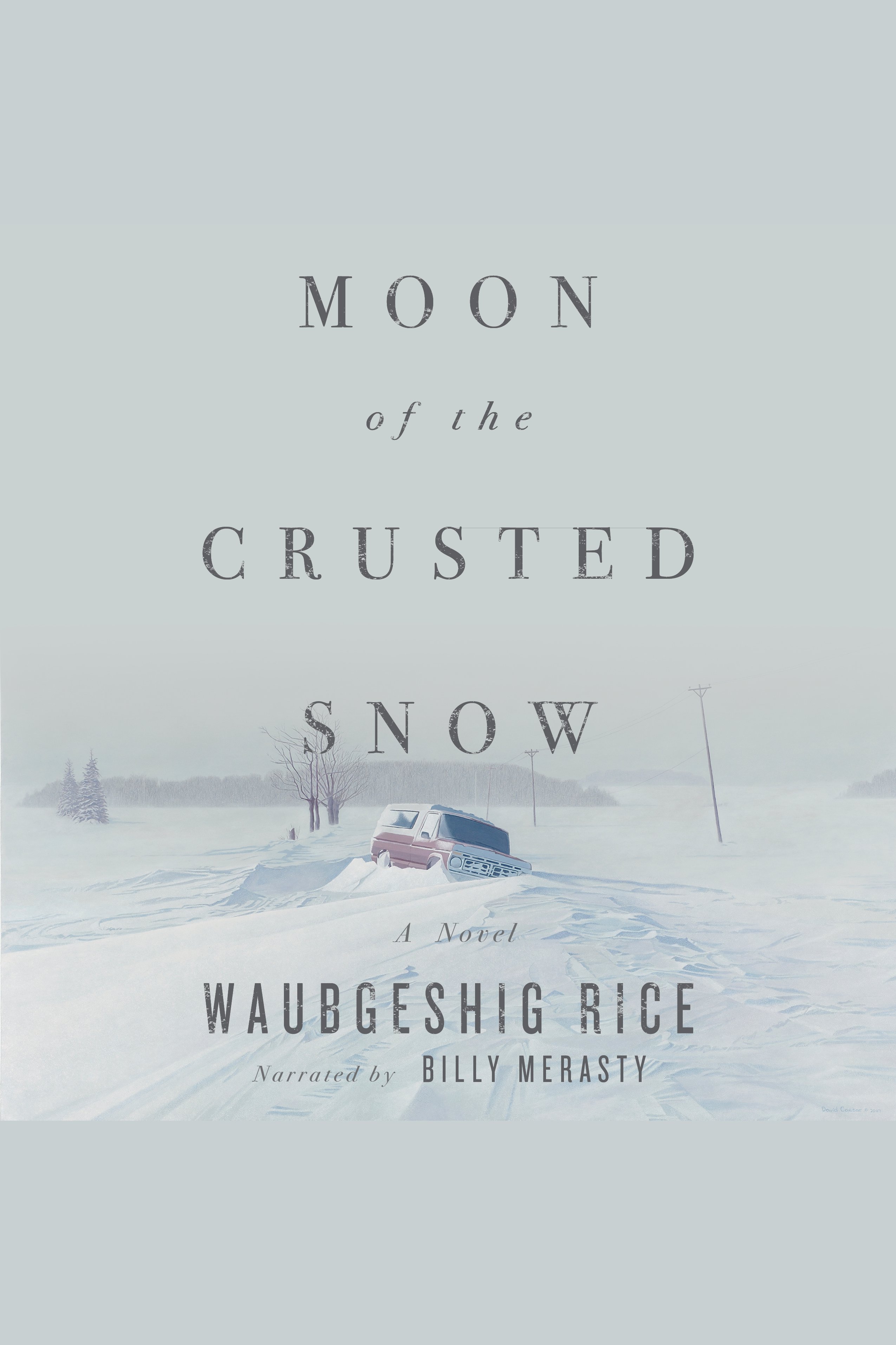 Cover image for Moon of the Crusted Snow [electronic resource] : A Novel