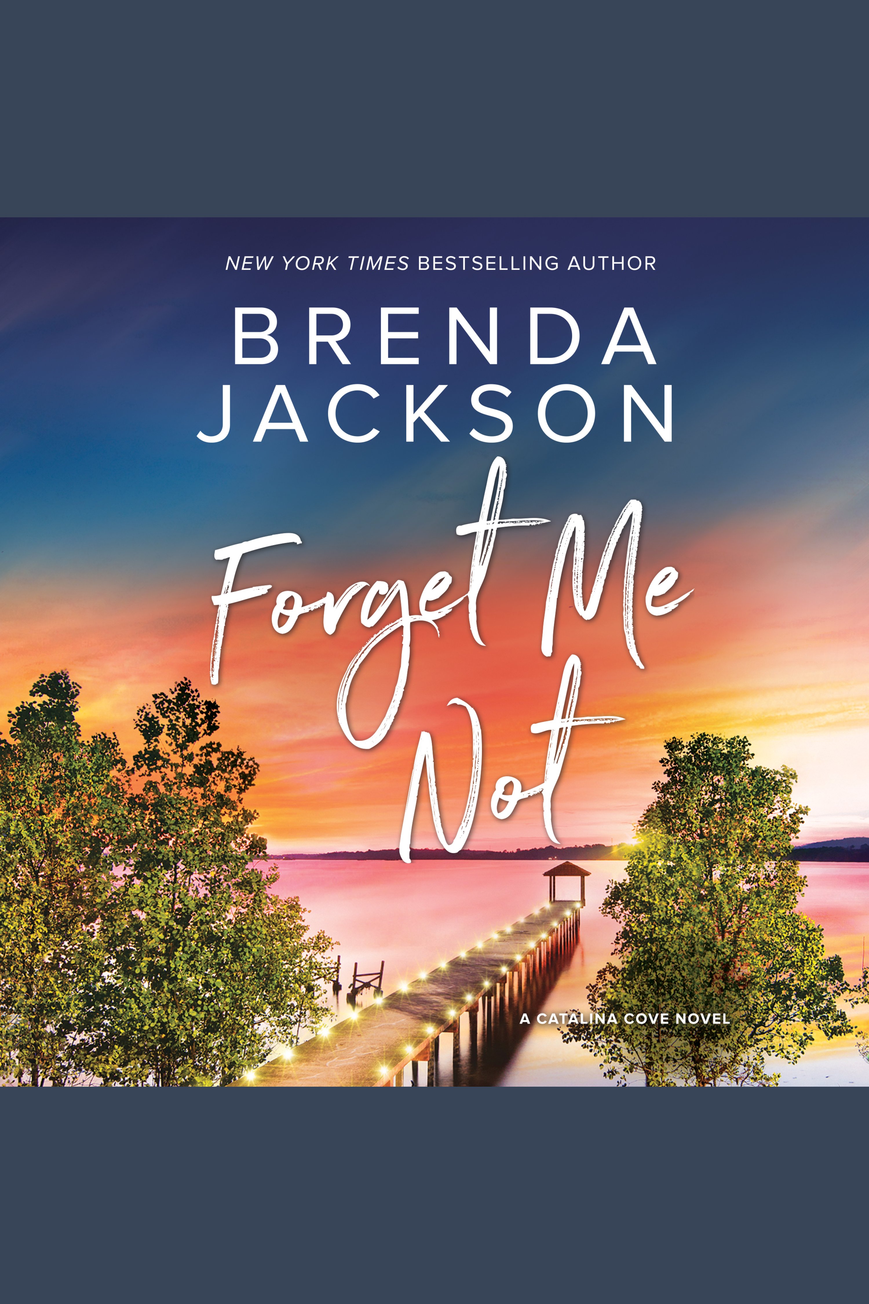 Umschlagbild für Forget Me Not [electronic resource] : A Catalina Cove Novel