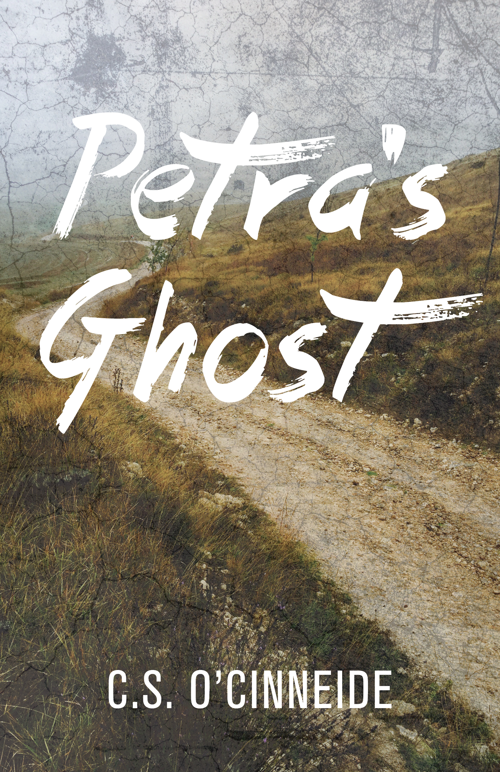 Cover image for Petra's Ghost [electronic resource] :