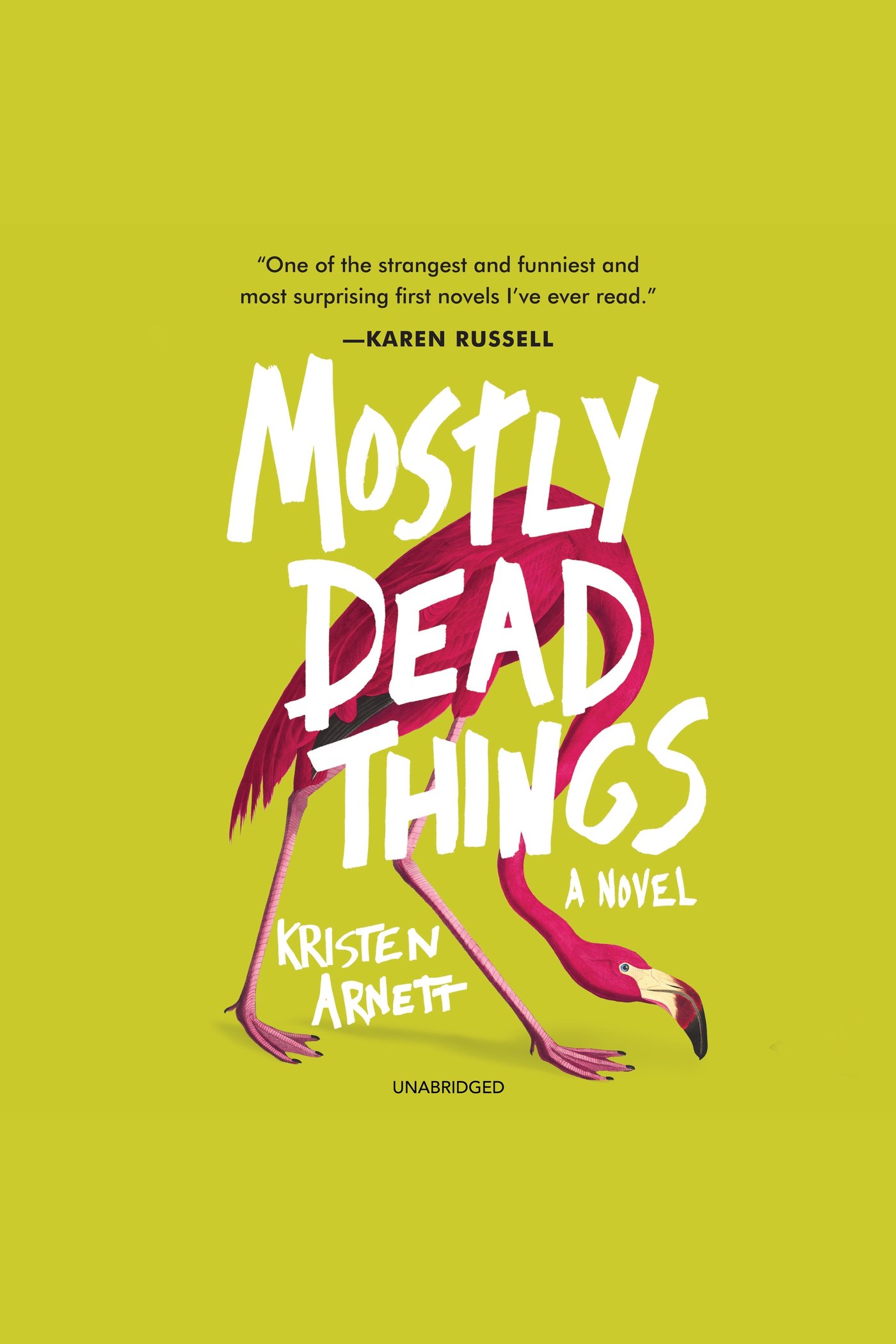 Image de couverture de Mostly Dead Things [electronic resource] : A Novel