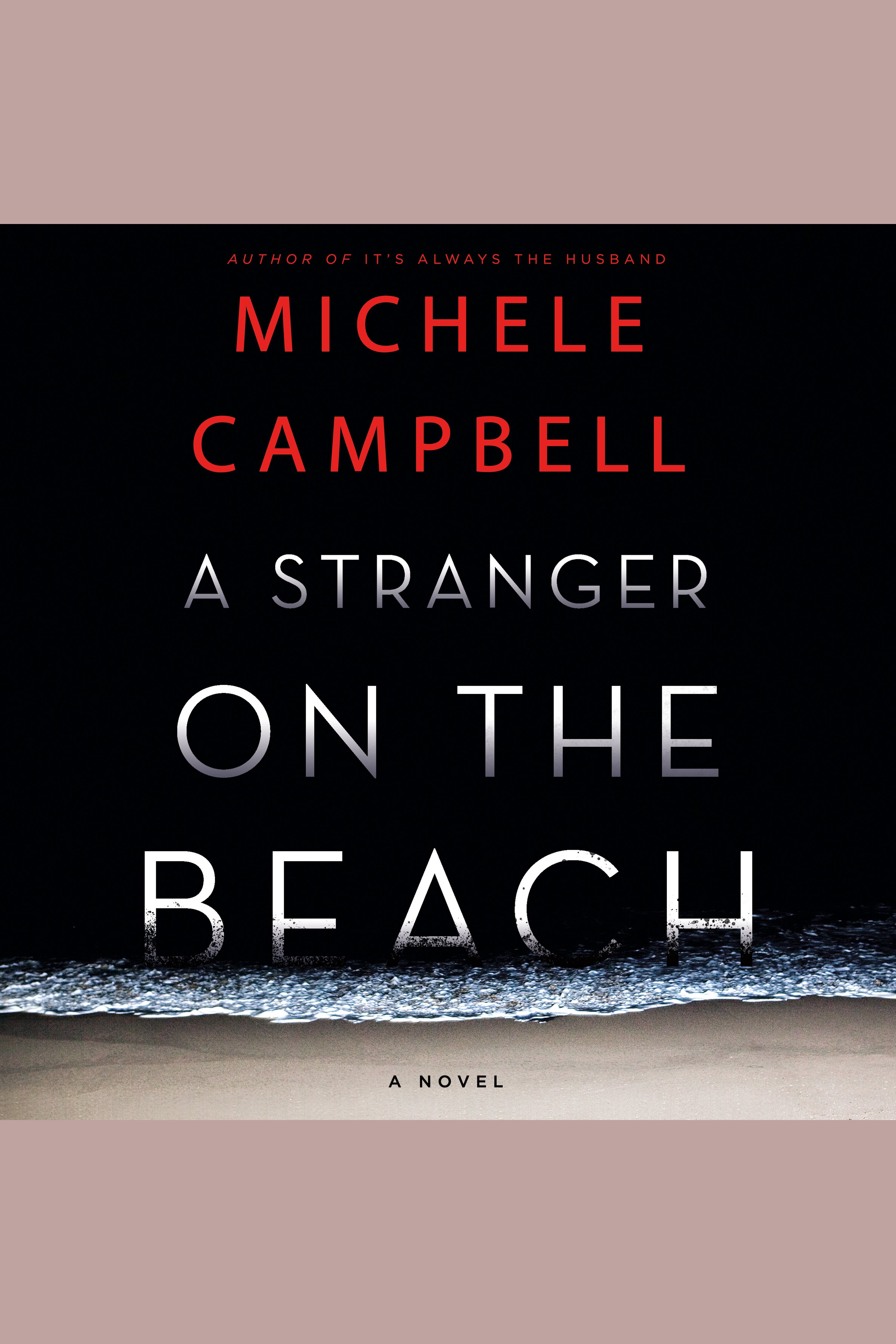 A stranger on the beach cover image