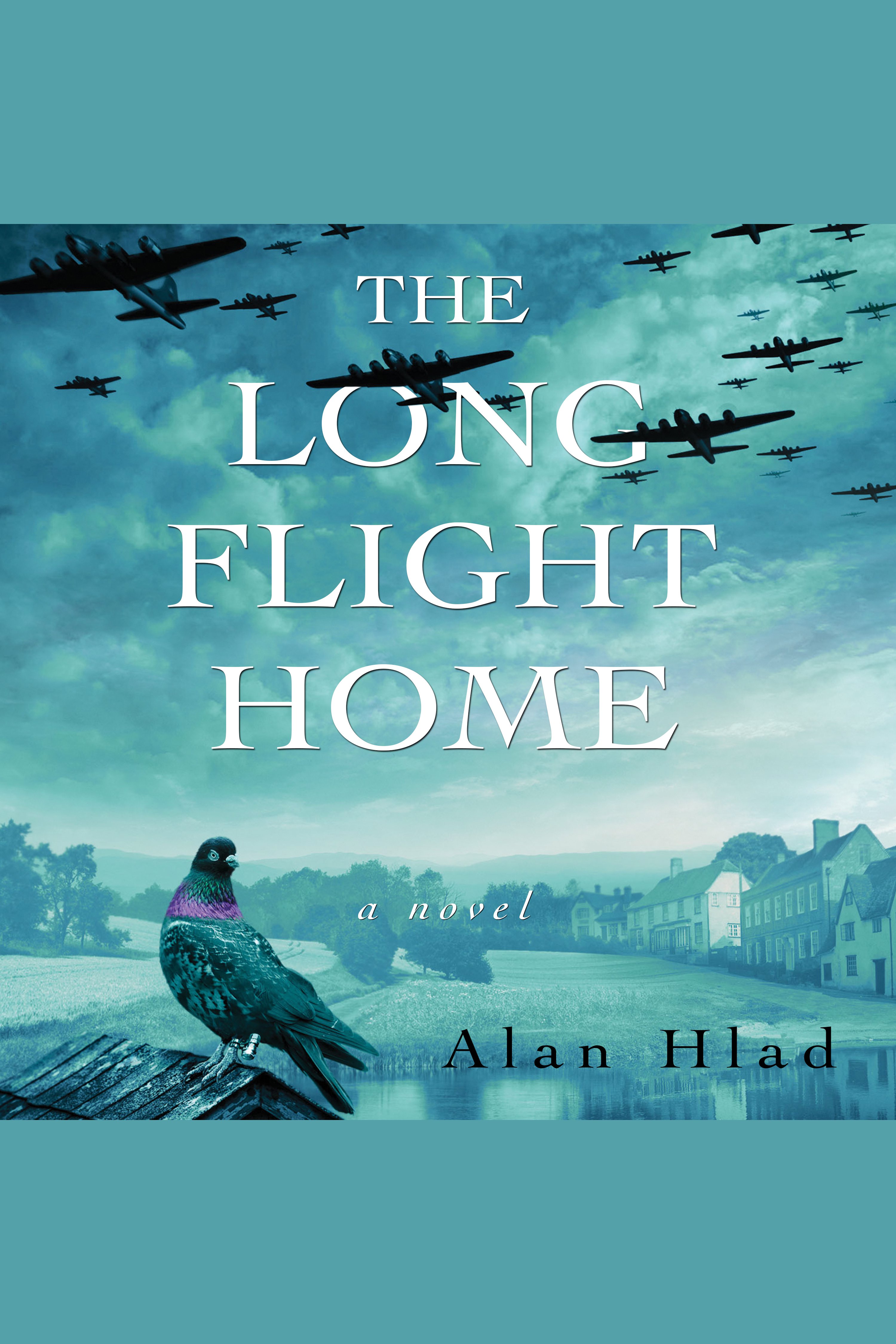 Long flight home cover image