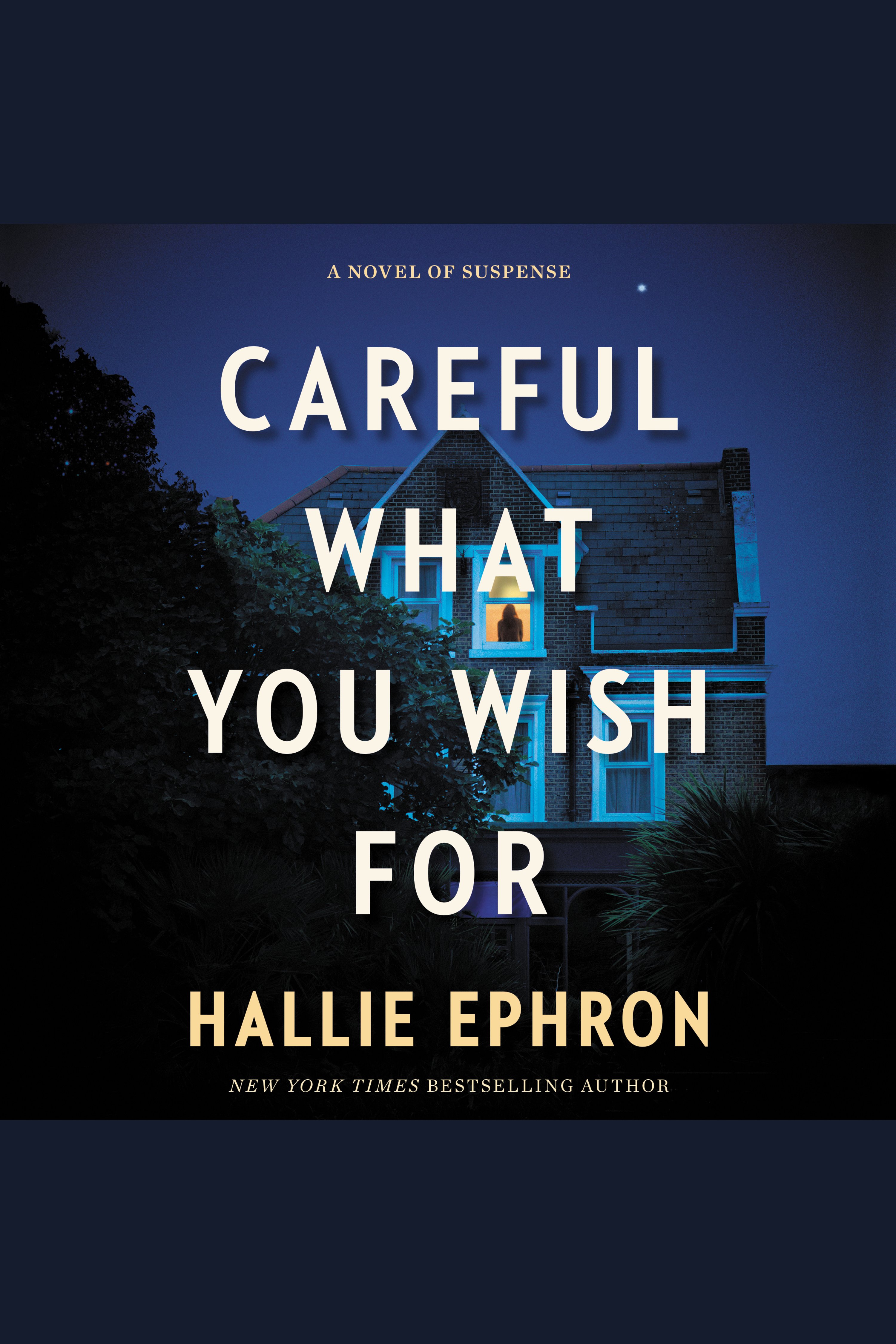 Image de couverture de Careful What You Wish For [electronic resource] : A Novel of Suspense