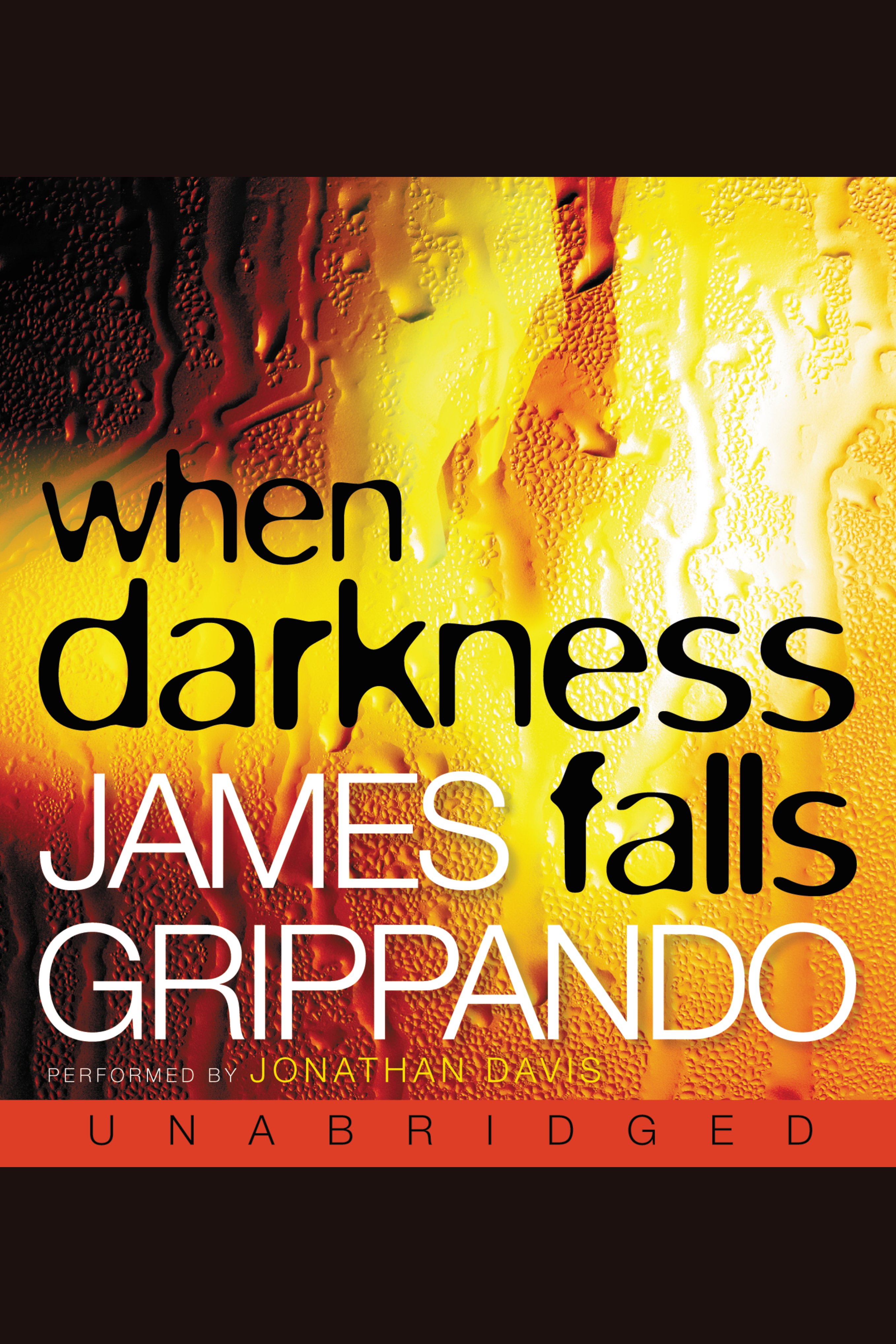 Cover image for When Darkness Falls [electronic resource] :