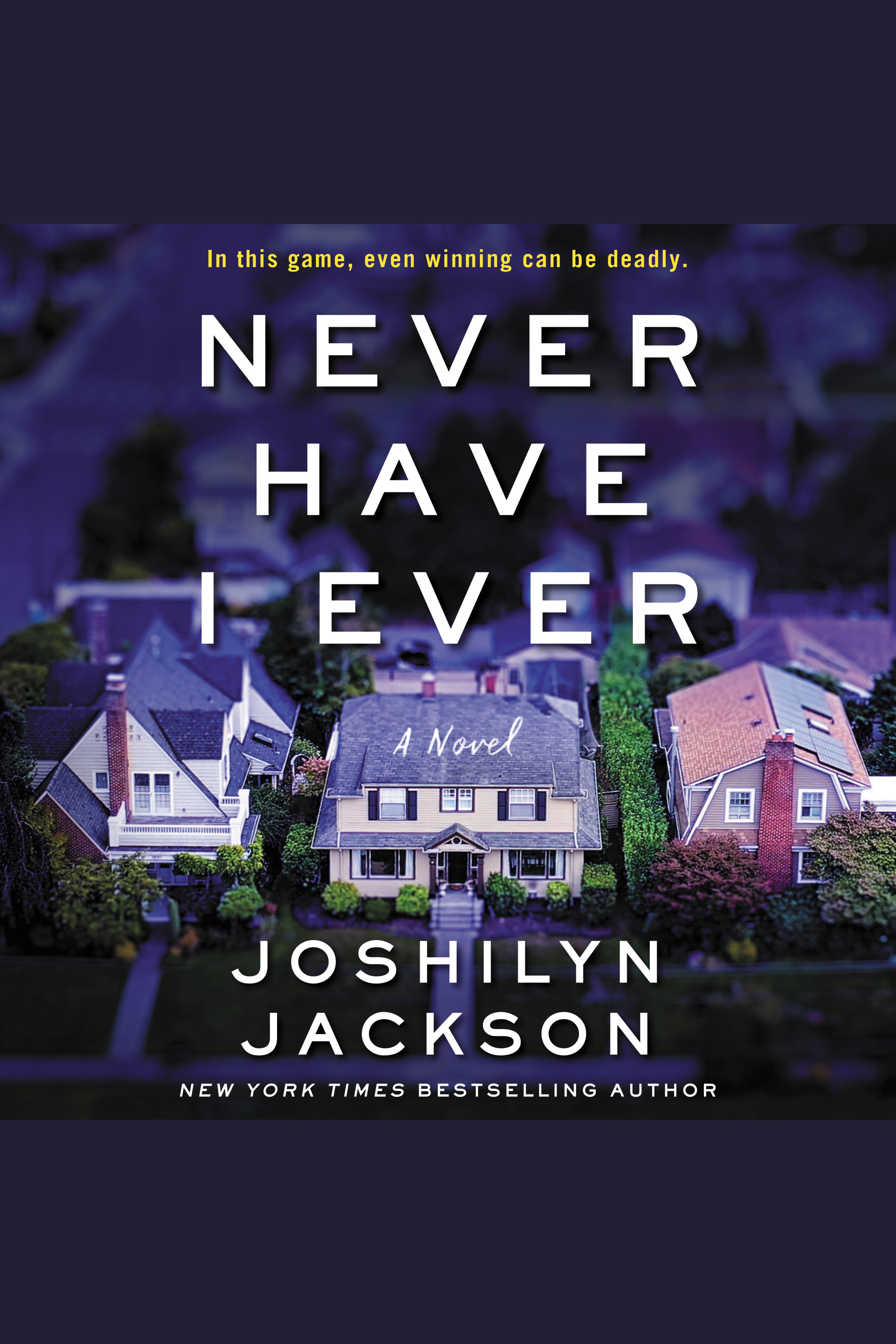 Cover image for Never Have I Ever [electronic resource] : A Novel
