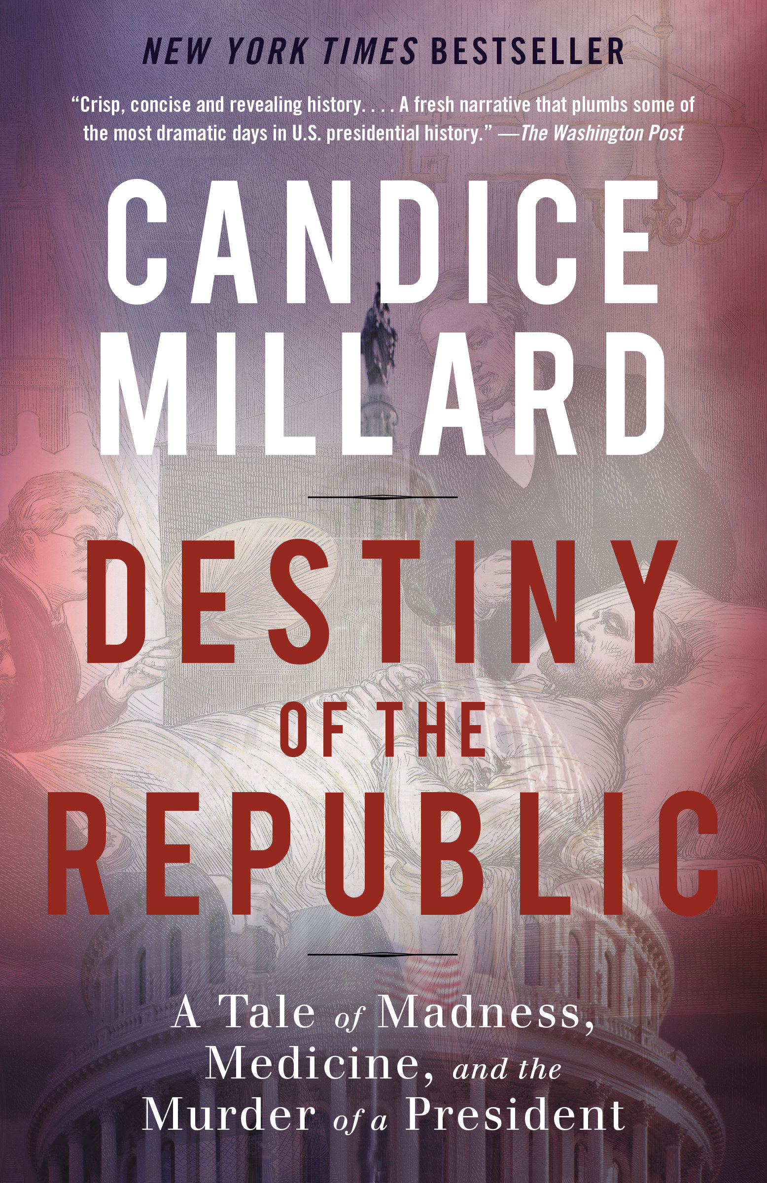 Destiny of the Republic a tale of madness, medicine and the murder of a president cover image