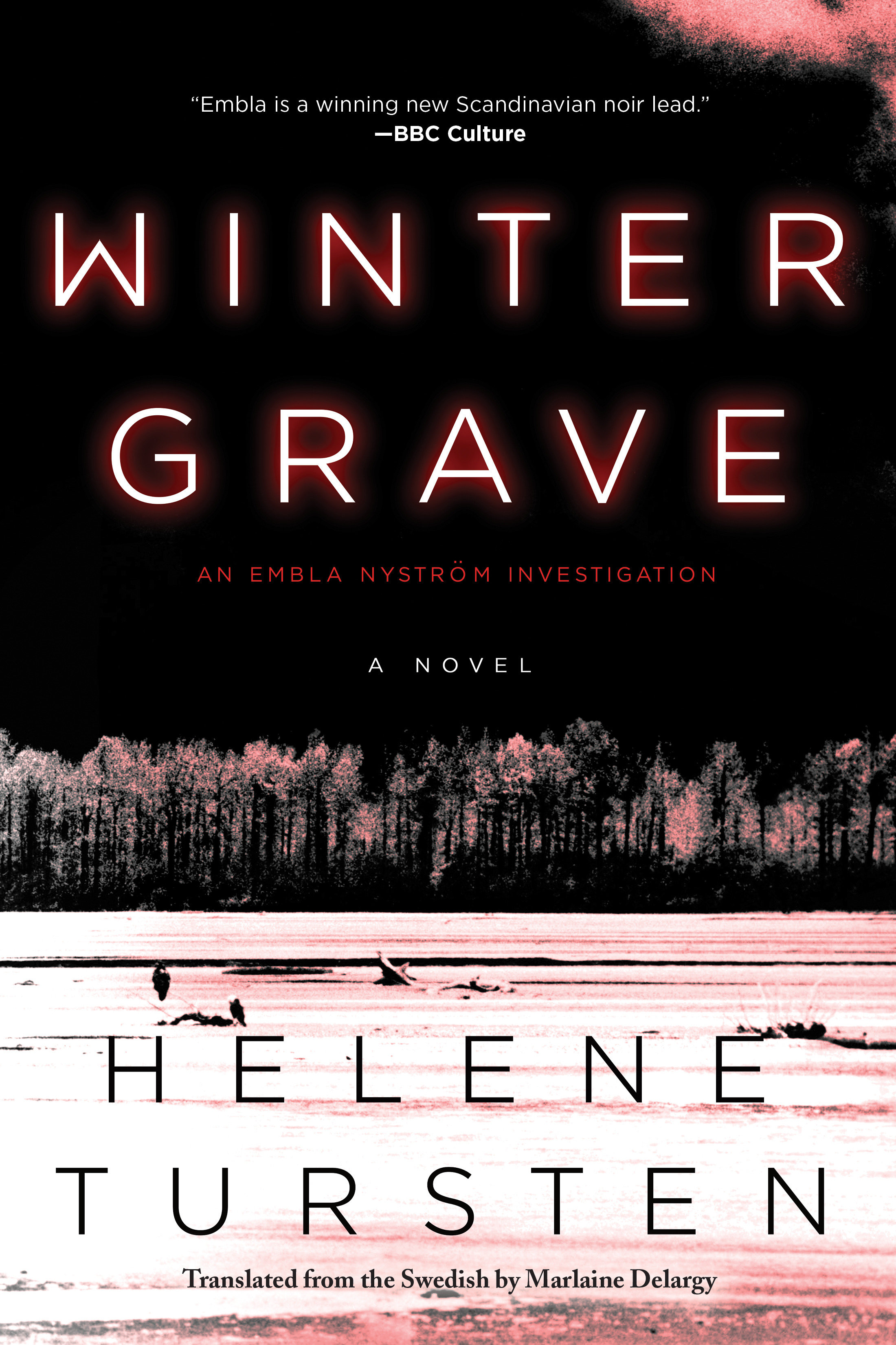 Cover image for Winter Grave [electronic resource] :