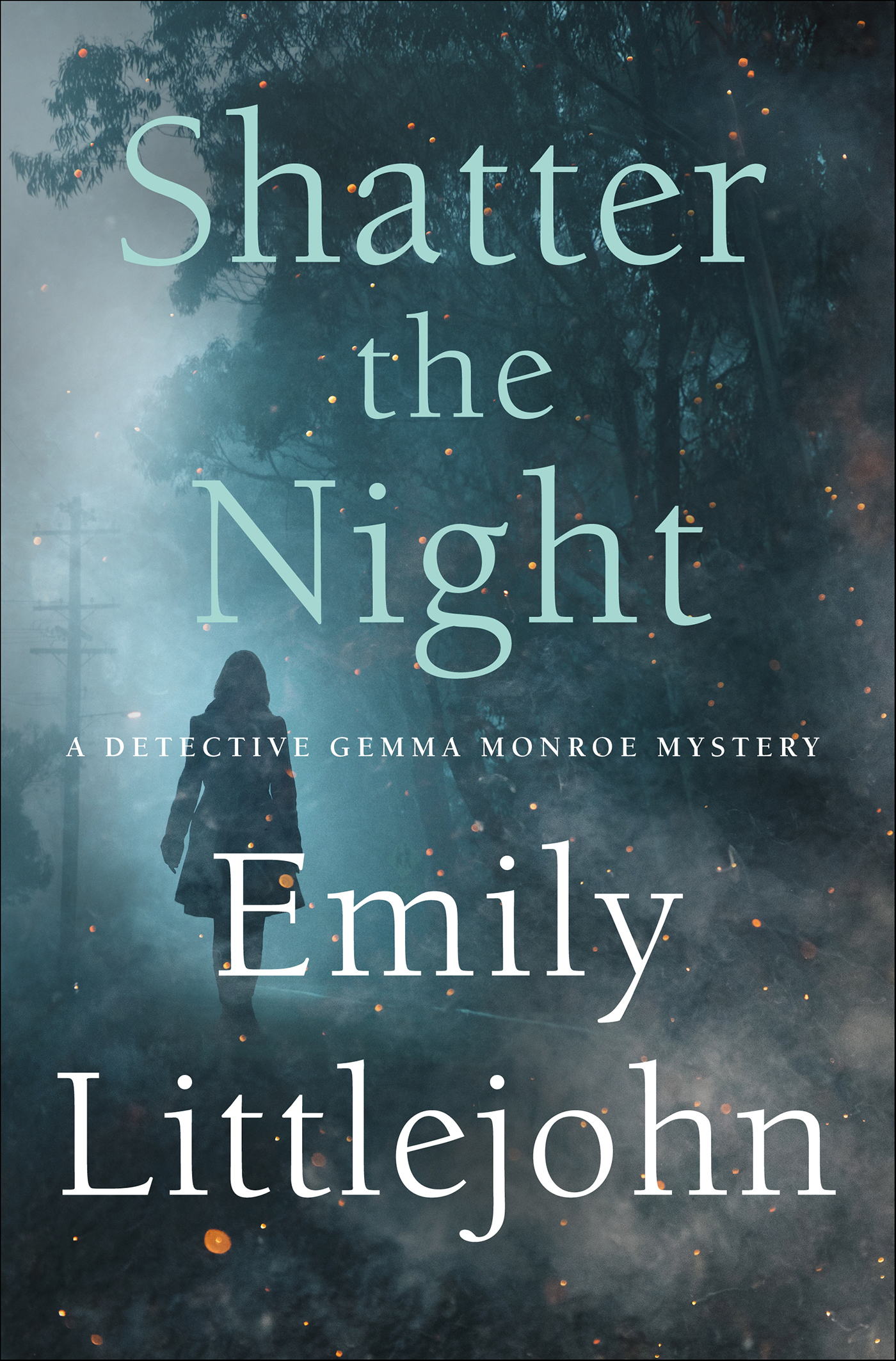 Cover image for Shatter the Night [electronic resource] : A Detective Gemma Monroe Mystery