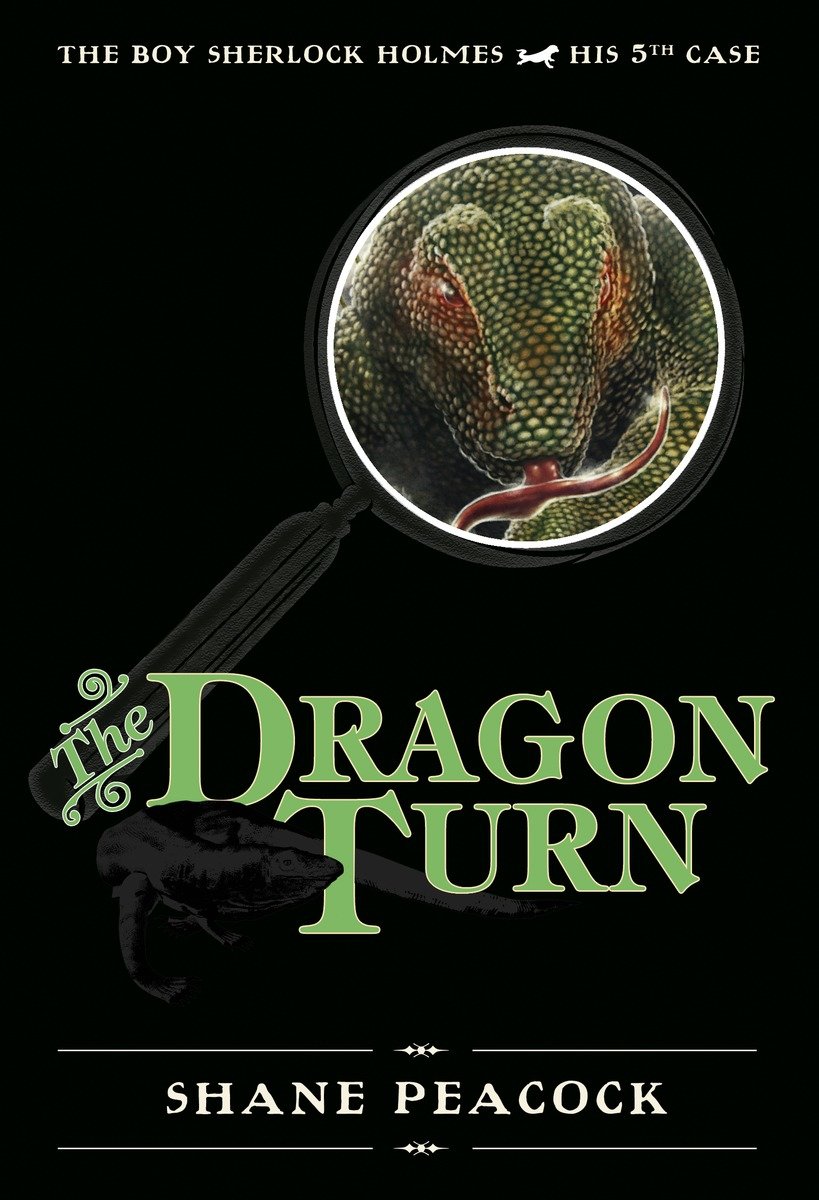 The dragon turn cover image