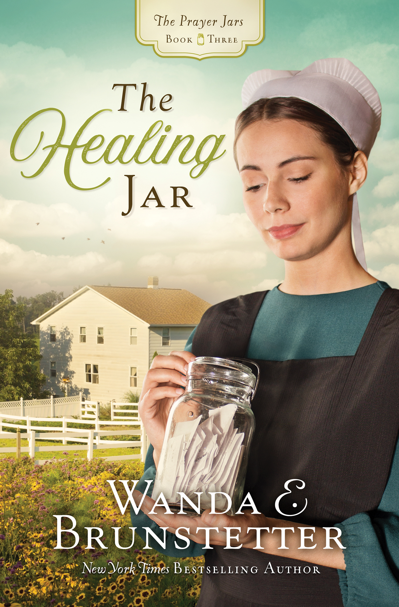 Cover image for The Healing Jar [electronic resource] :