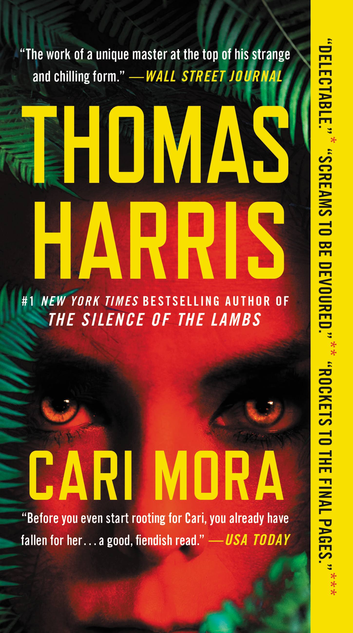 Cover image for Cari Mora [electronic resource] : A Novel