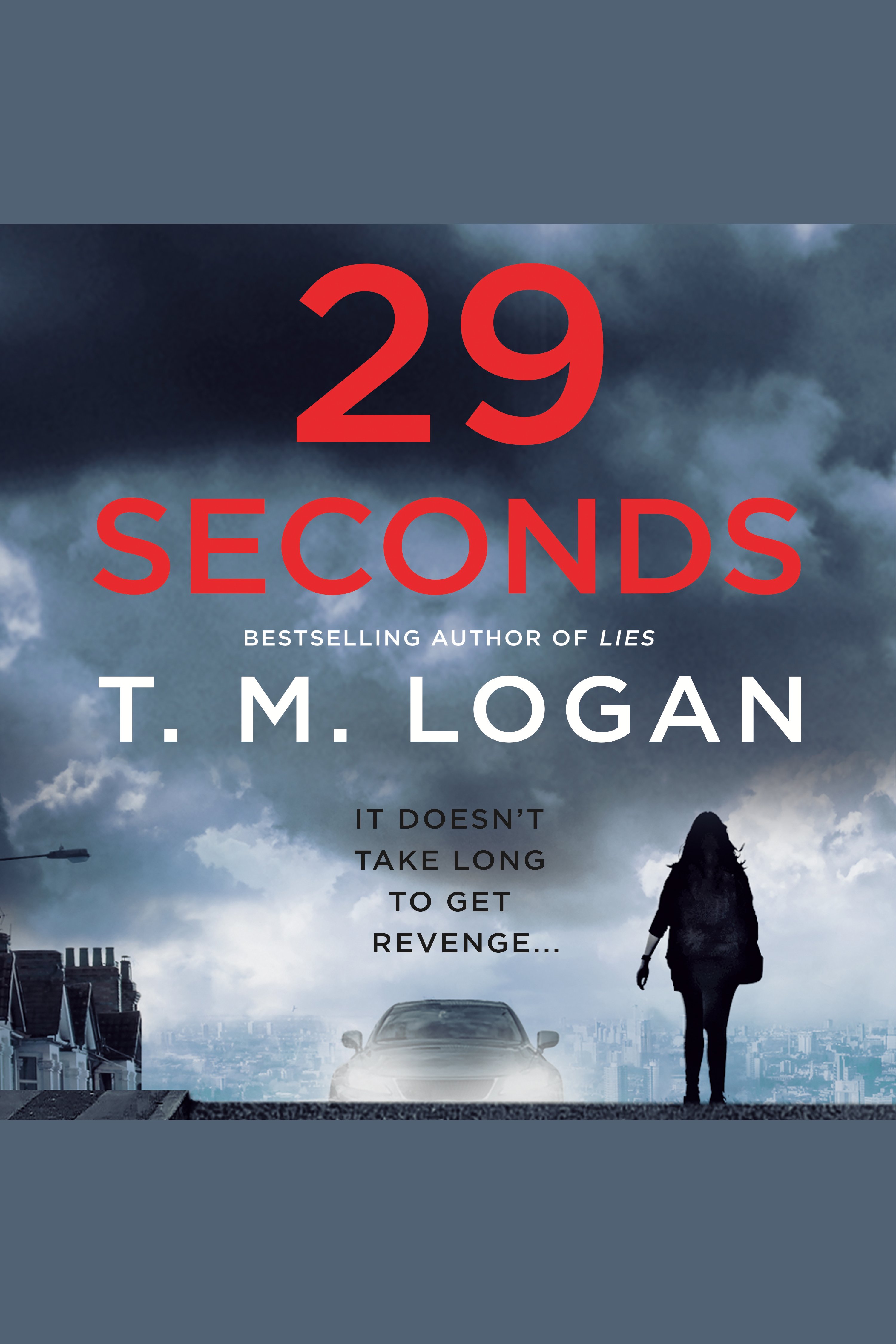 Umschlagbild für 29 Seconds [electronic resource] : A Novel