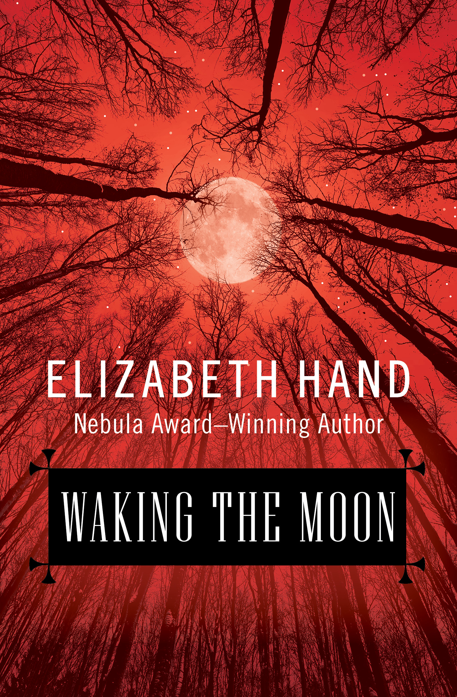 Waking the Moon cover image