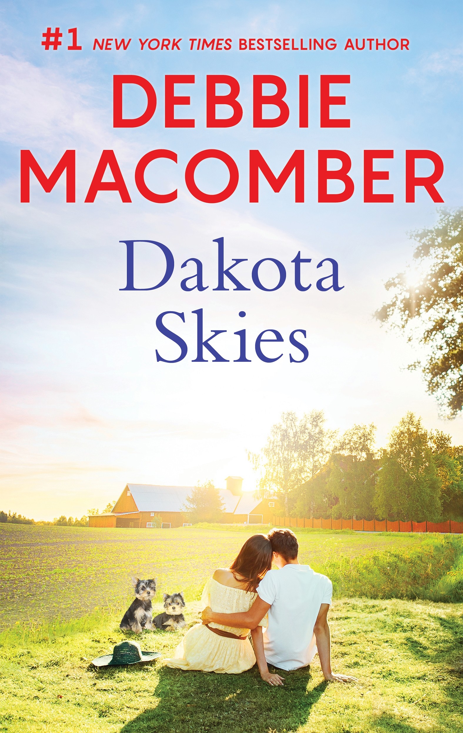 Cover image for Dakota Skies [electronic resource] : A Bestselling Romance