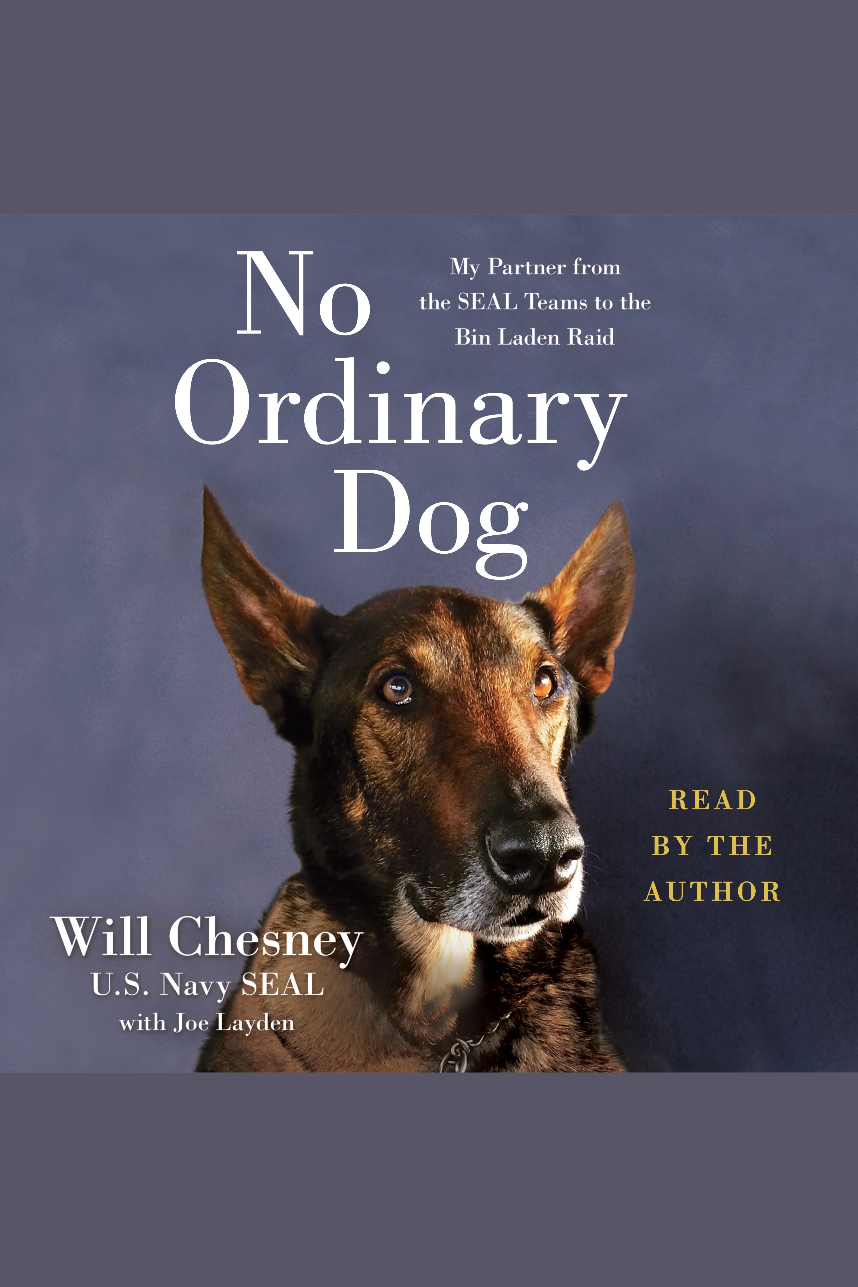 No Ordinary Dog My Partner from the SEAL Teams to the Bin Laden Raid cover image