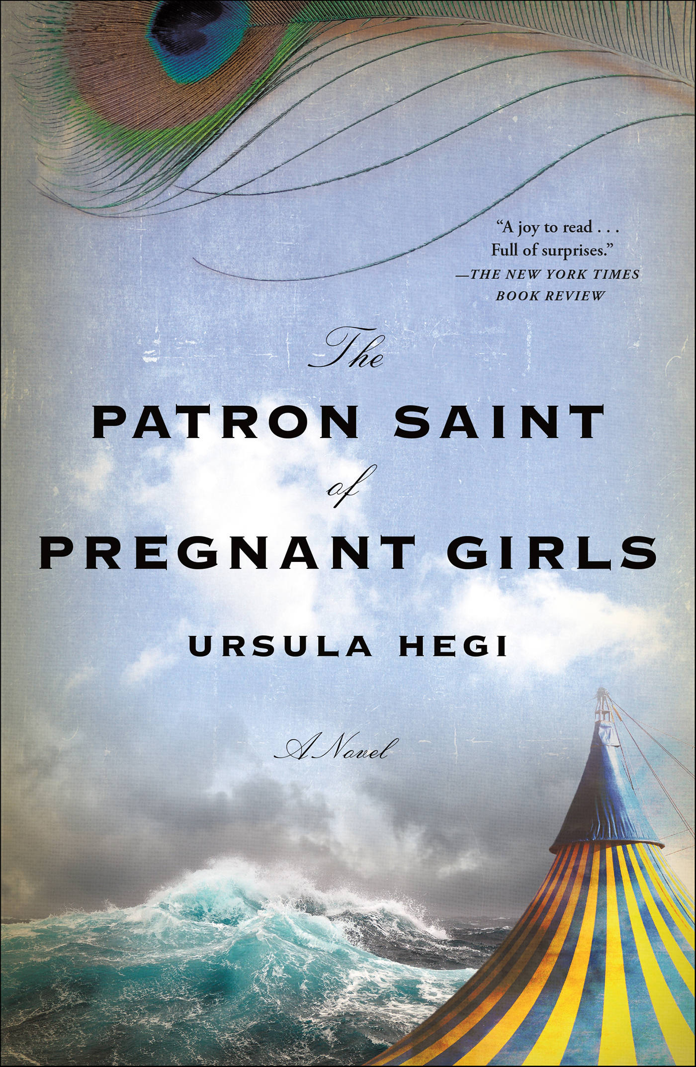 The Patron Saint of Pregnant Girls cover image