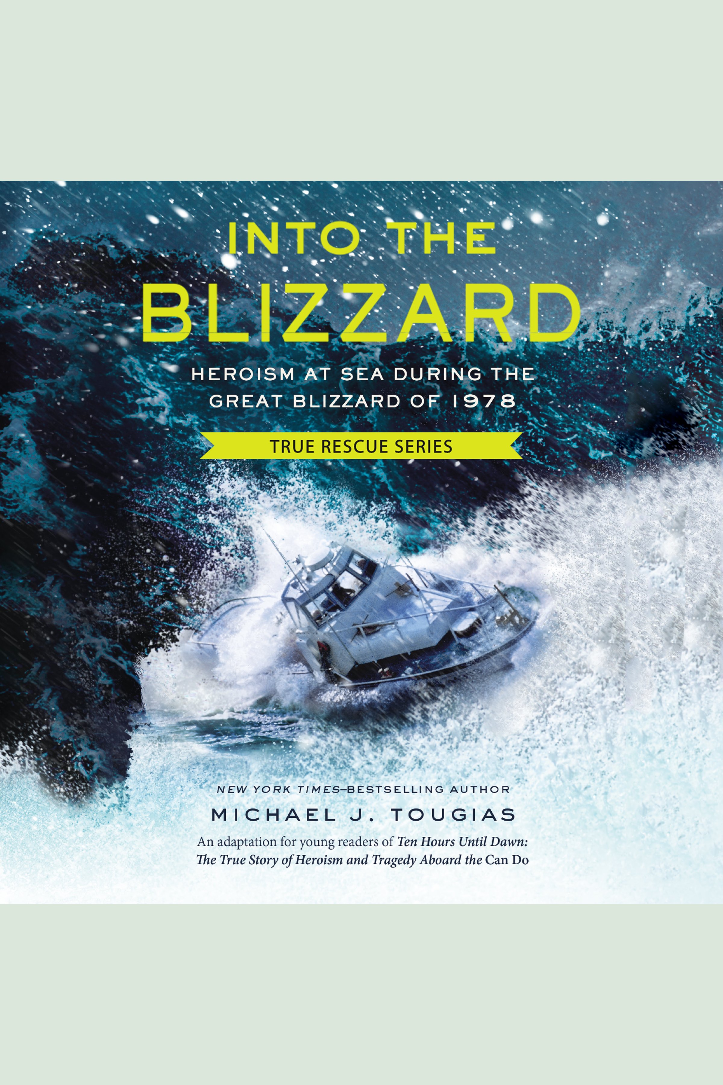 Into the blizzard cover image