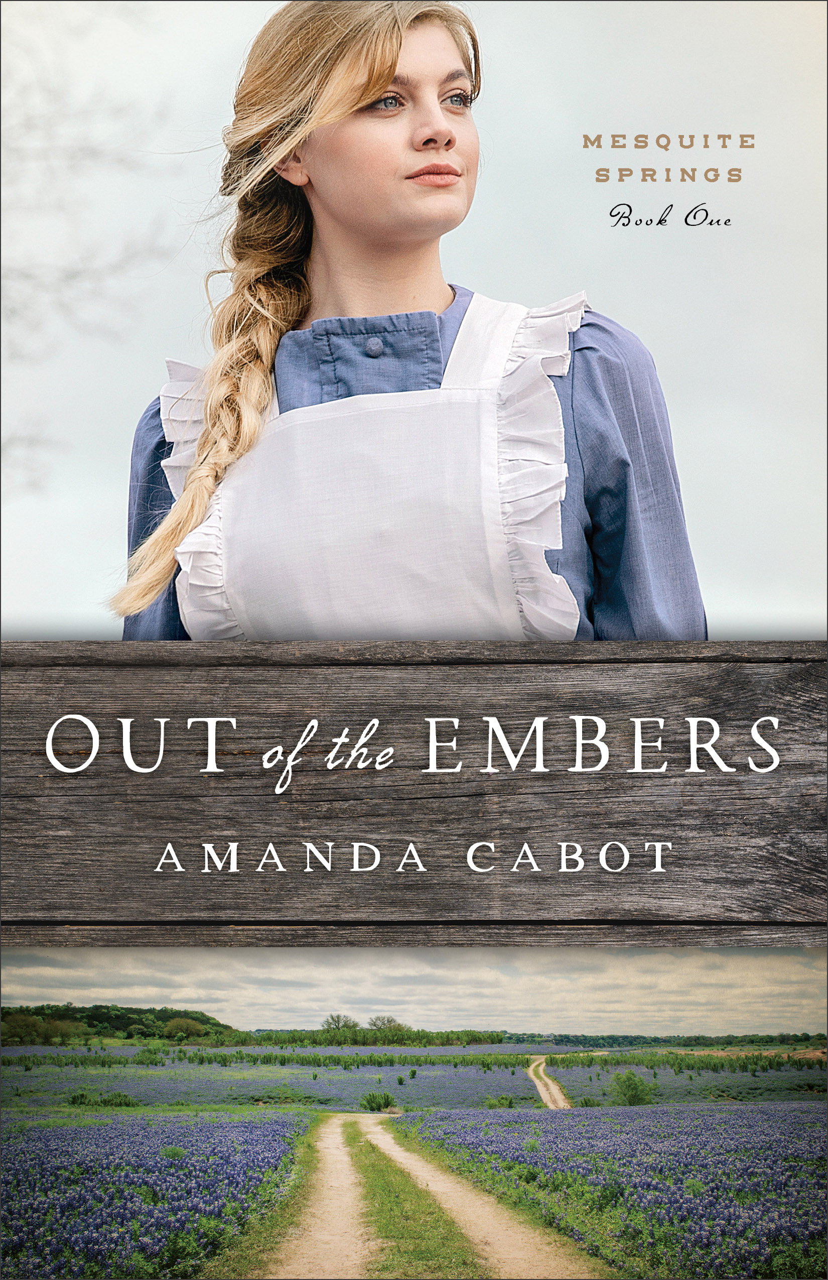 Cover Image of Out of the Embers (Mesquite Springs Book #1)