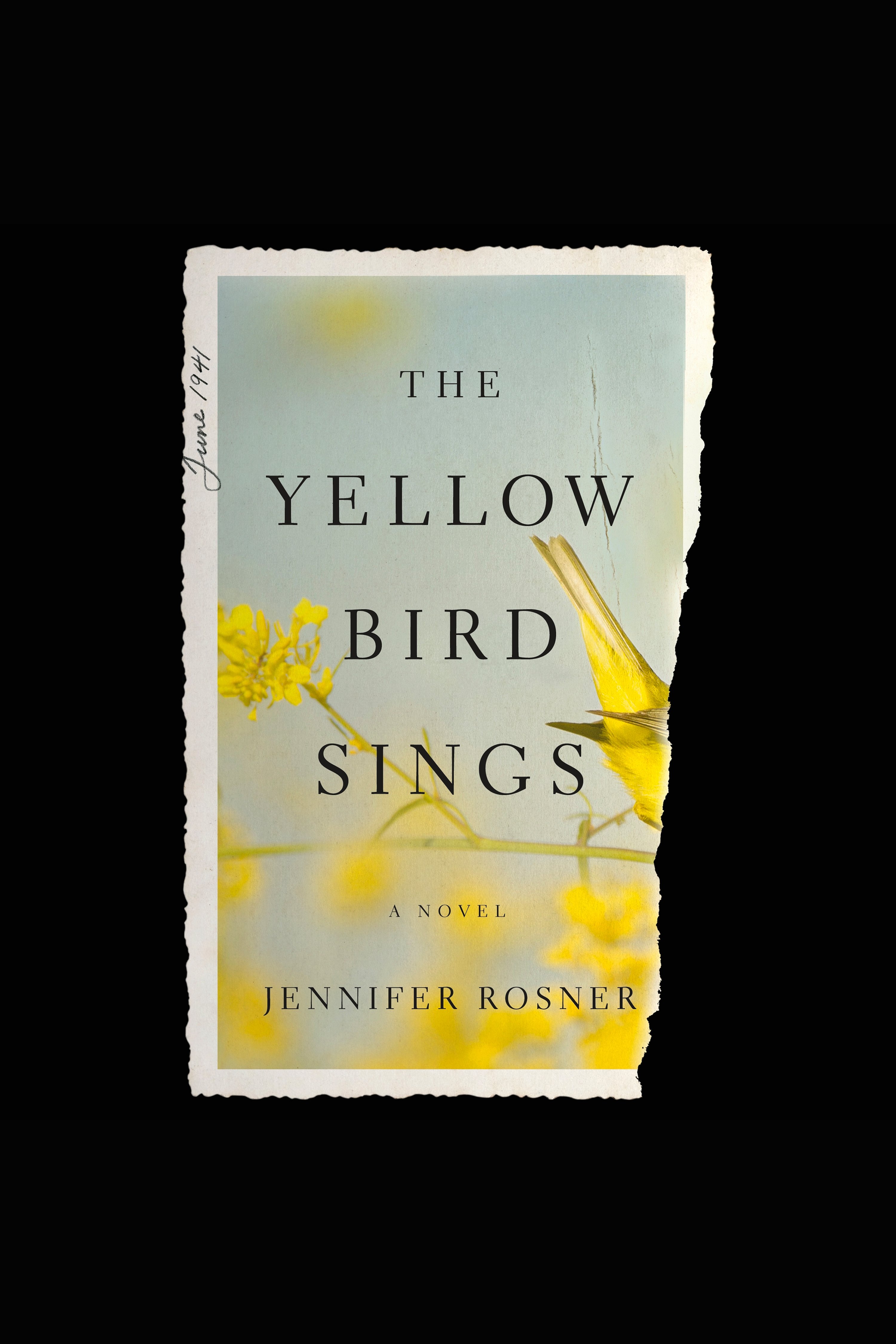 Cover image for The Yellow Bird Sings [electronic resource] :