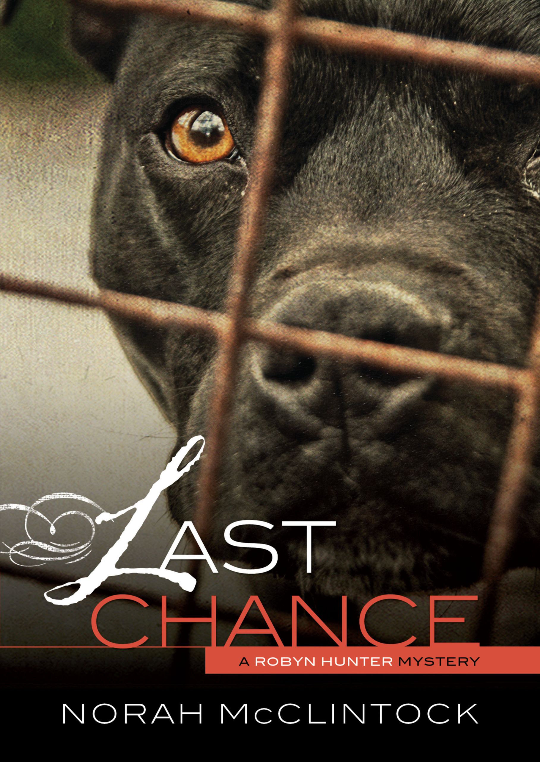 Cover image for #1 Last Chance [electronic resource] :