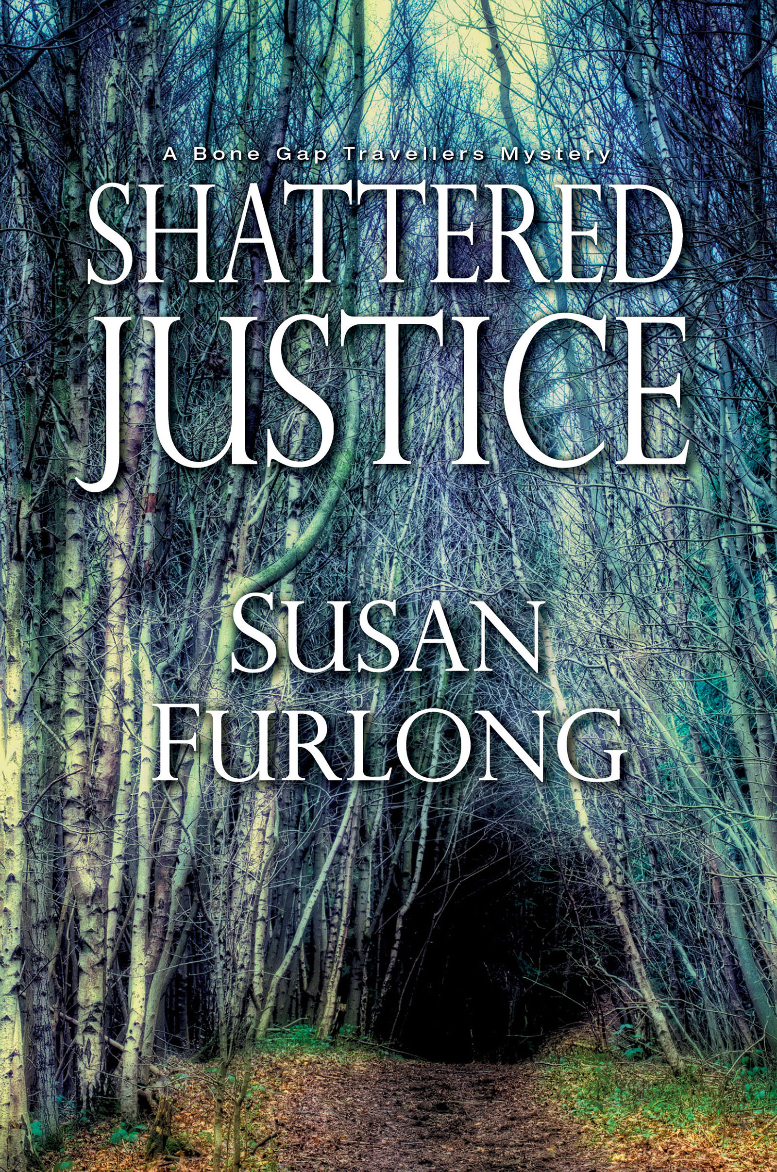 Cover image for Shattered Justice [electronic resource] :