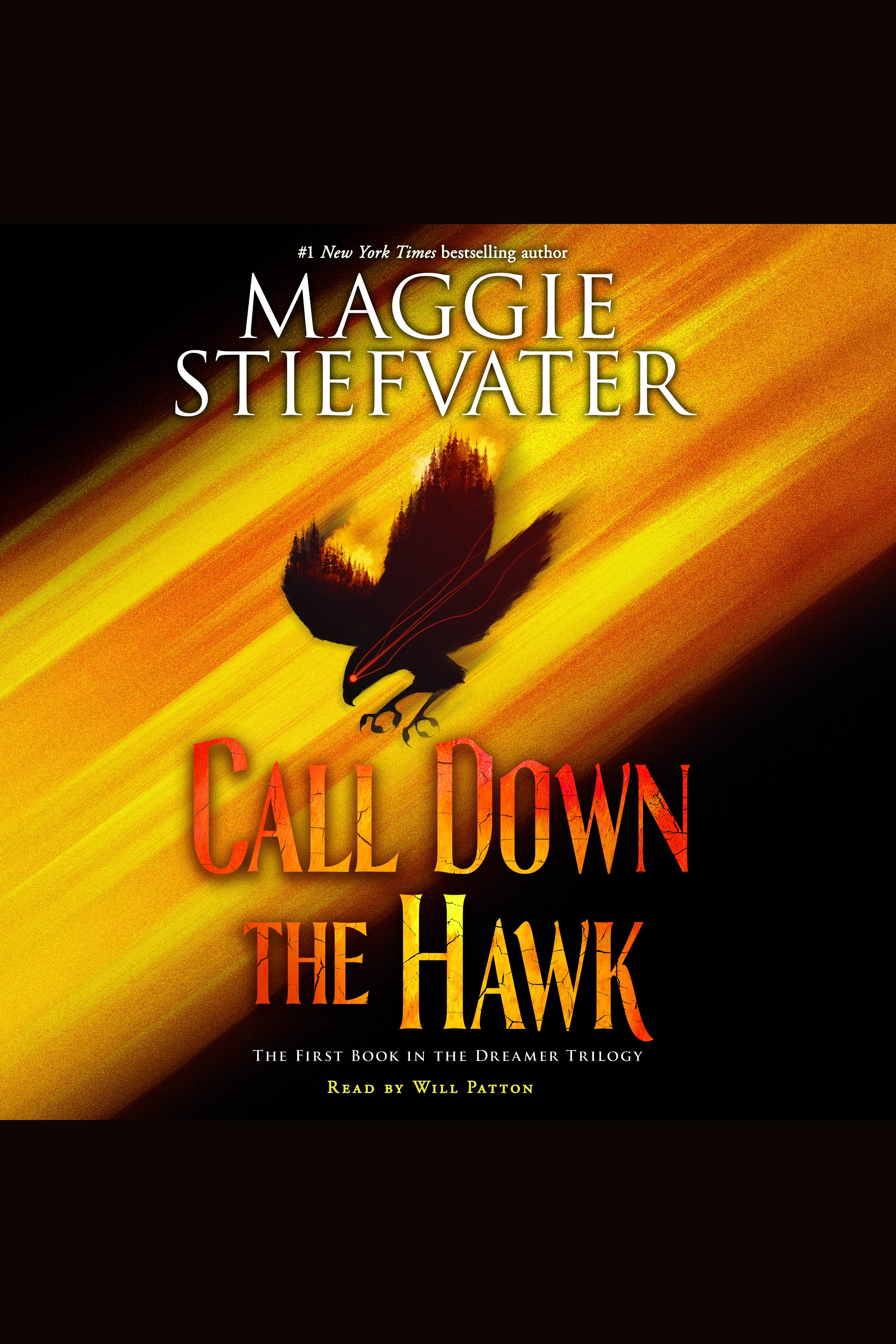 Call Down the Hawk cover image