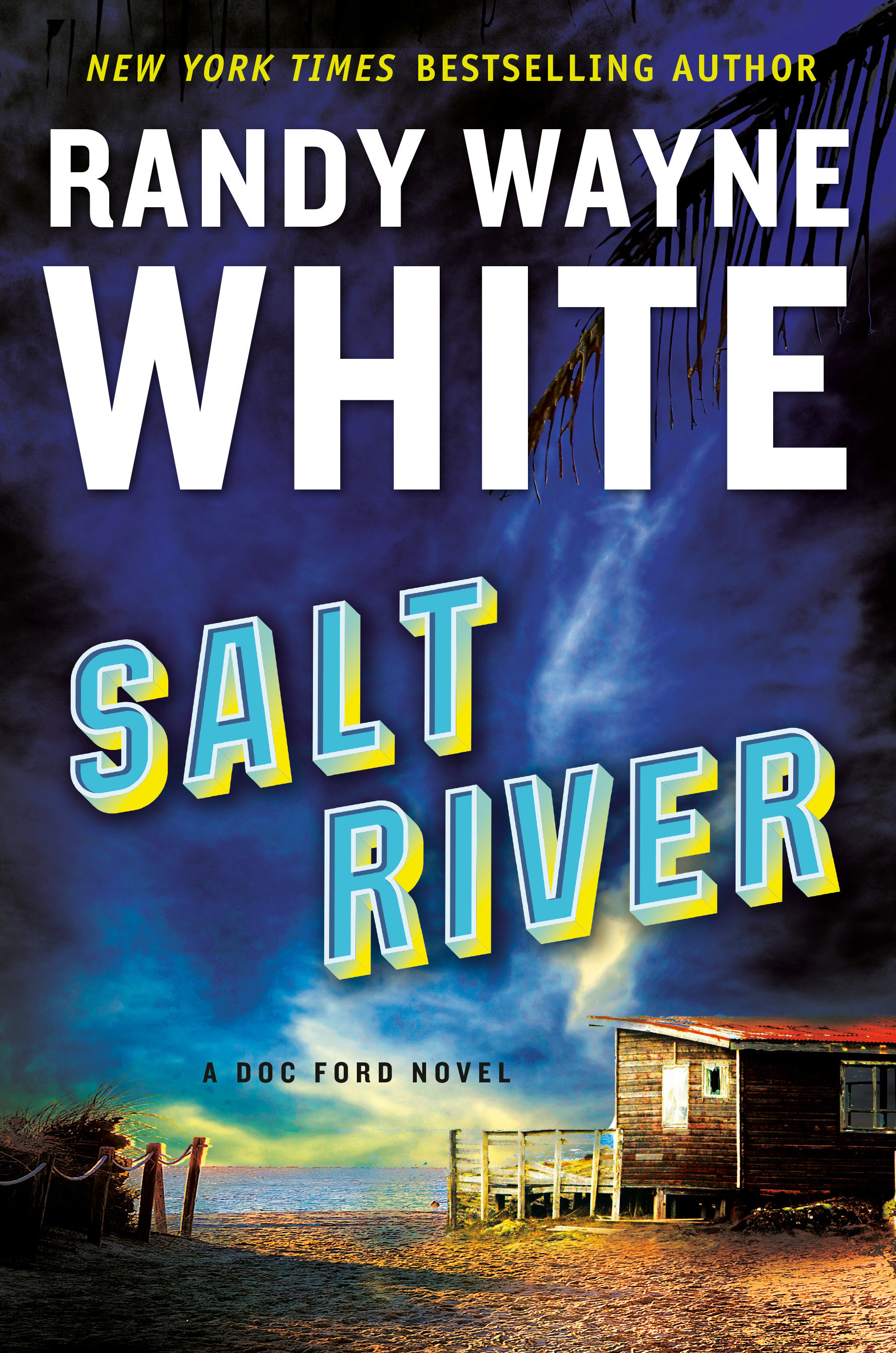 Image de couverture de Salt River [electronic resource] :