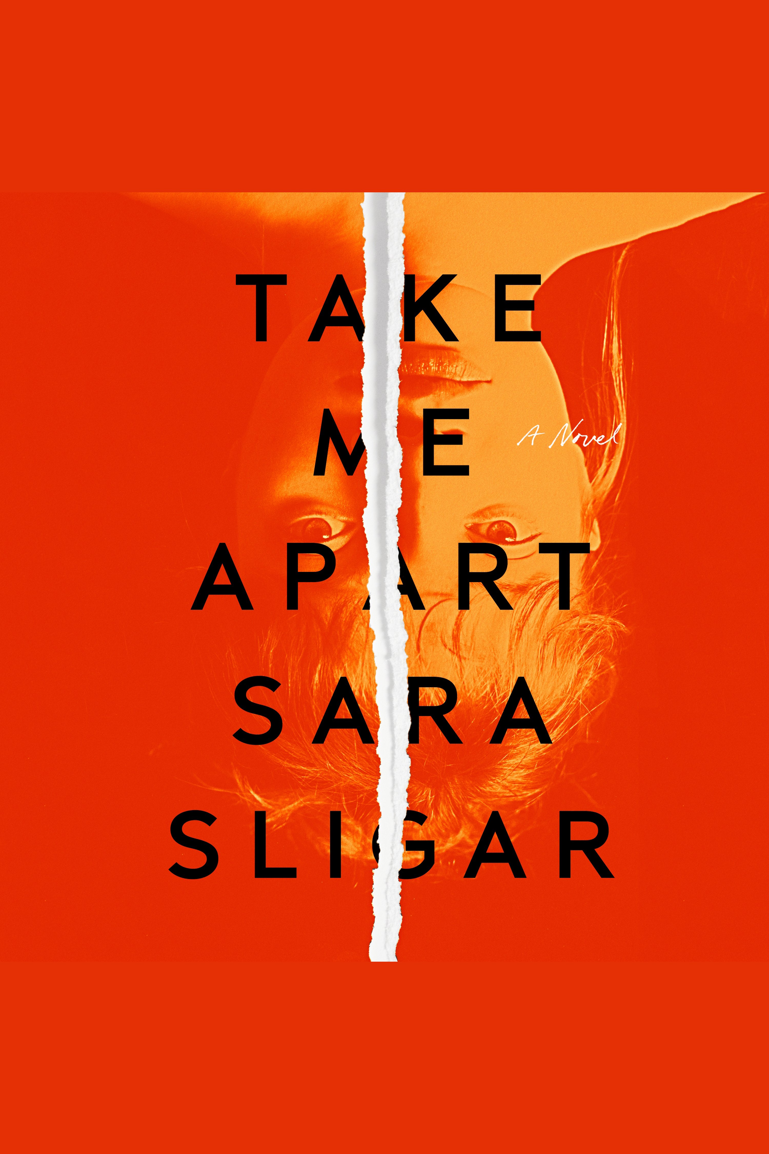 Umschlagbild für Take Me Apart [electronic resource] : A Novel