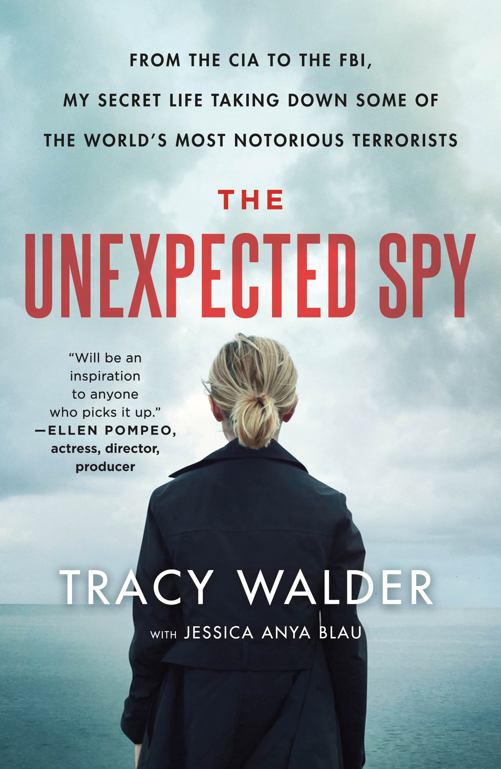 The unexpected spy from the CIA to the FBI, my secret life taking down some of the world's most notorious terrorists cover image
