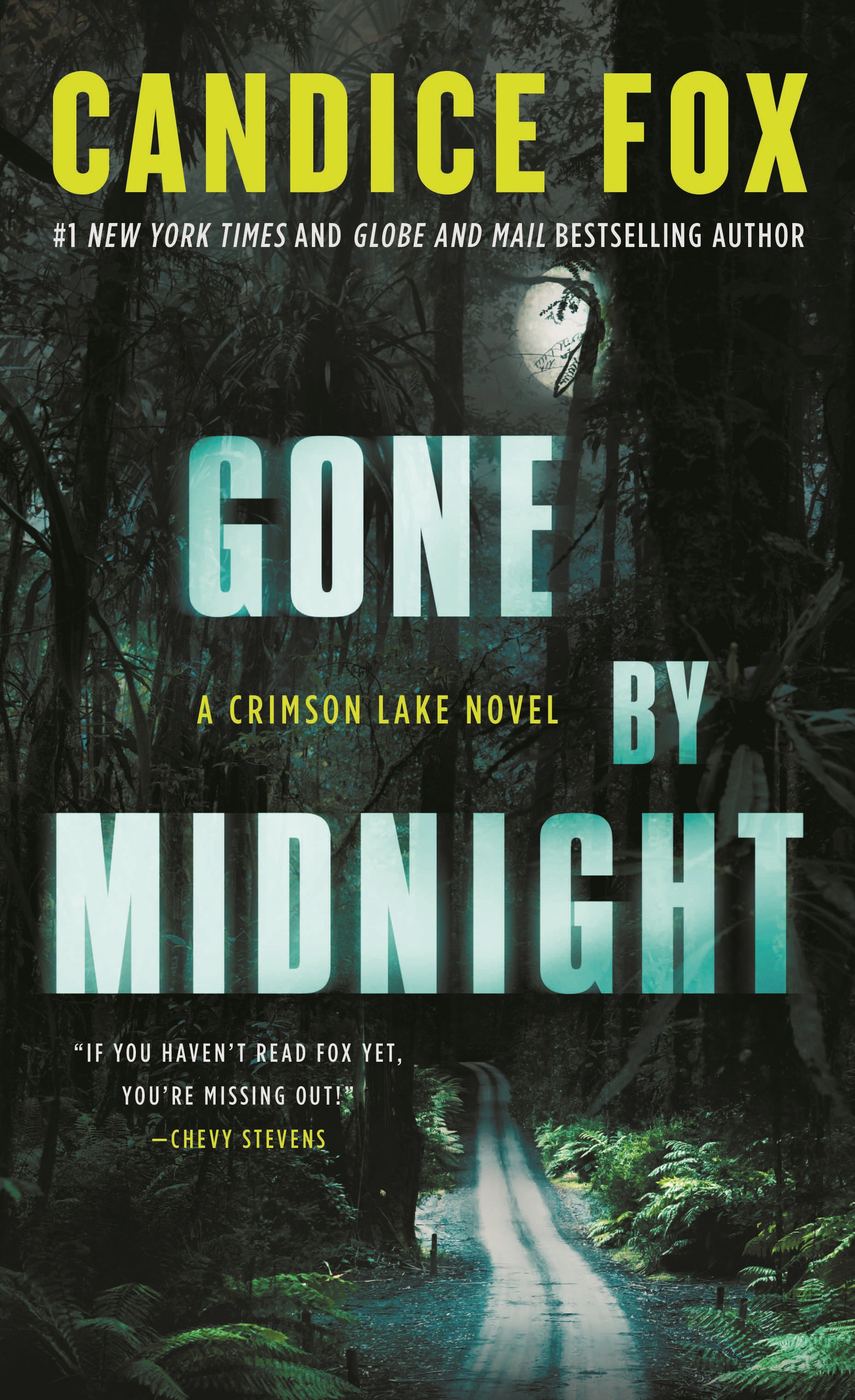 Image de couverture de Gone by Midnight [electronic resource] : A Crimson Lake Novel
