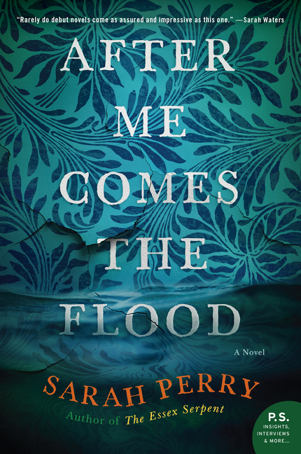 Image de couverture de After Me Comes the Flood [electronic resource] : A Novel