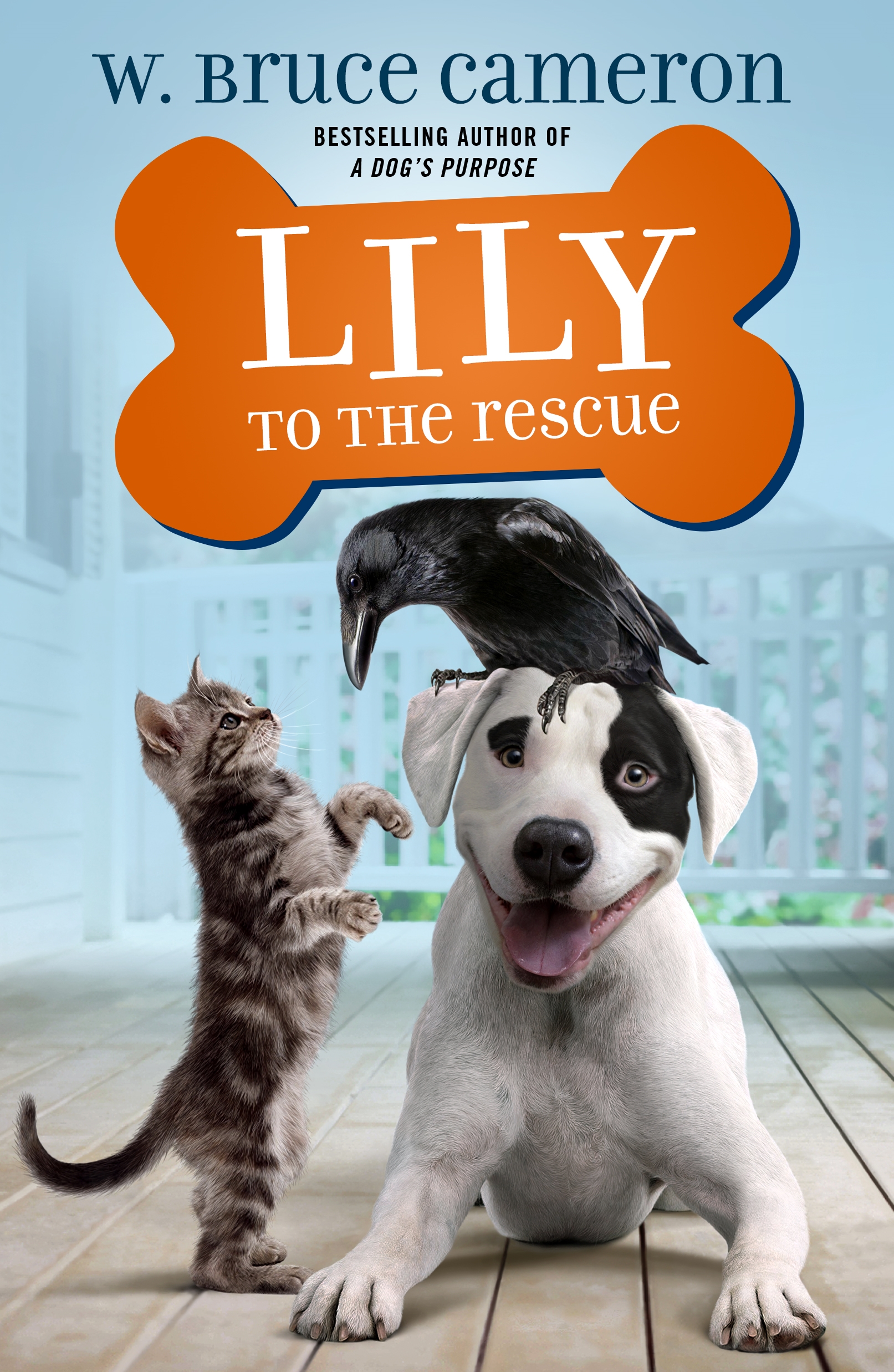 Cover image for Lily to the Rescue [electronic resource] :