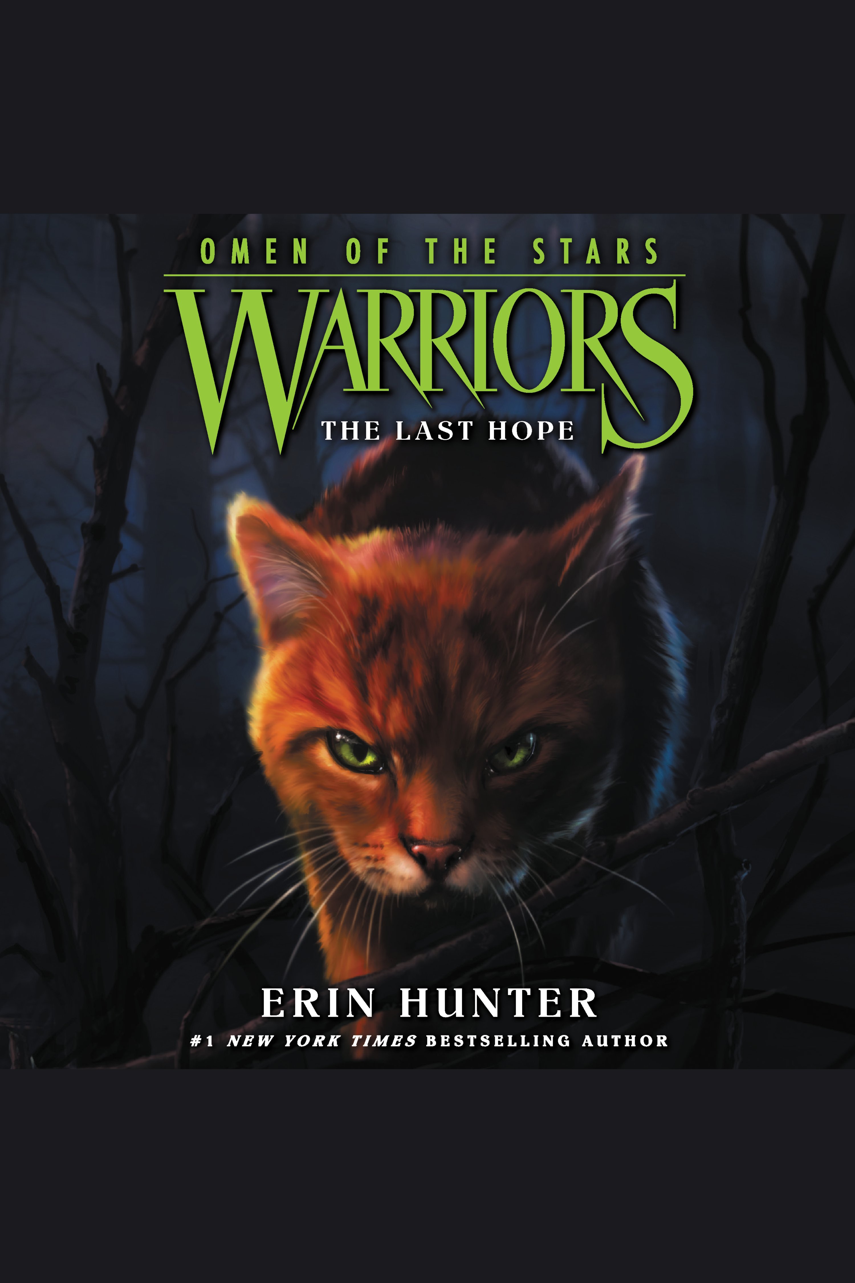 Umschlagbild für Warriors: Omen of the Stars #6: The Last Hope [electronic resource] :