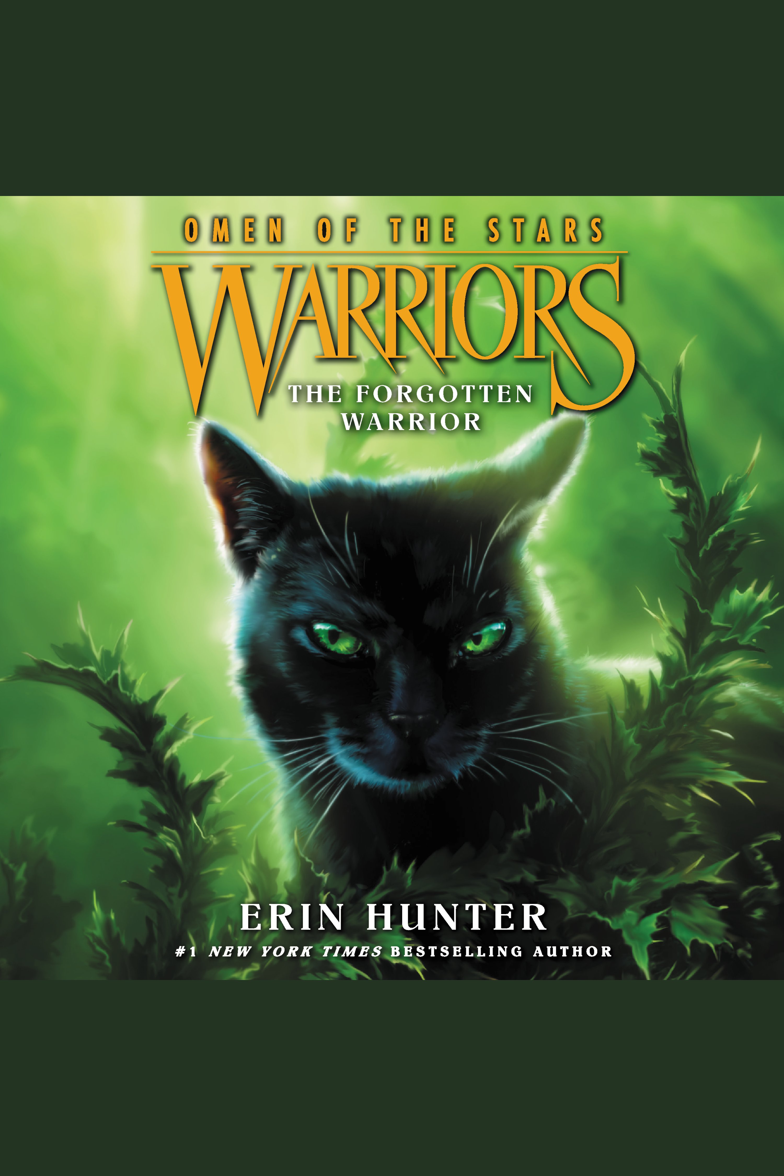 Cover image for Warriors: Omen of the Stars #5: The Forgotten Warrior [electronic resource] :