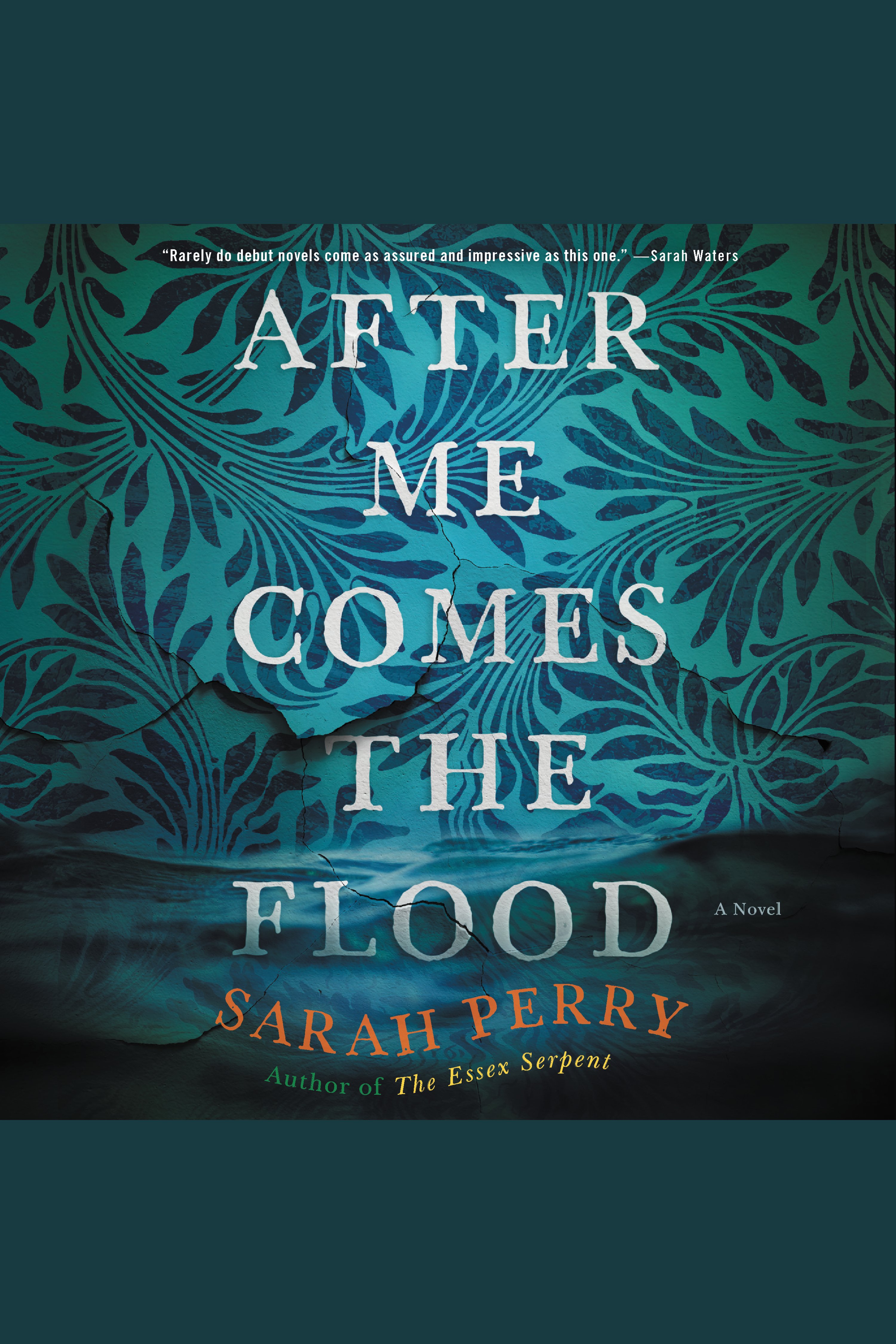 Cover image for After Me Comes the Flood [electronic resource] : A Novel